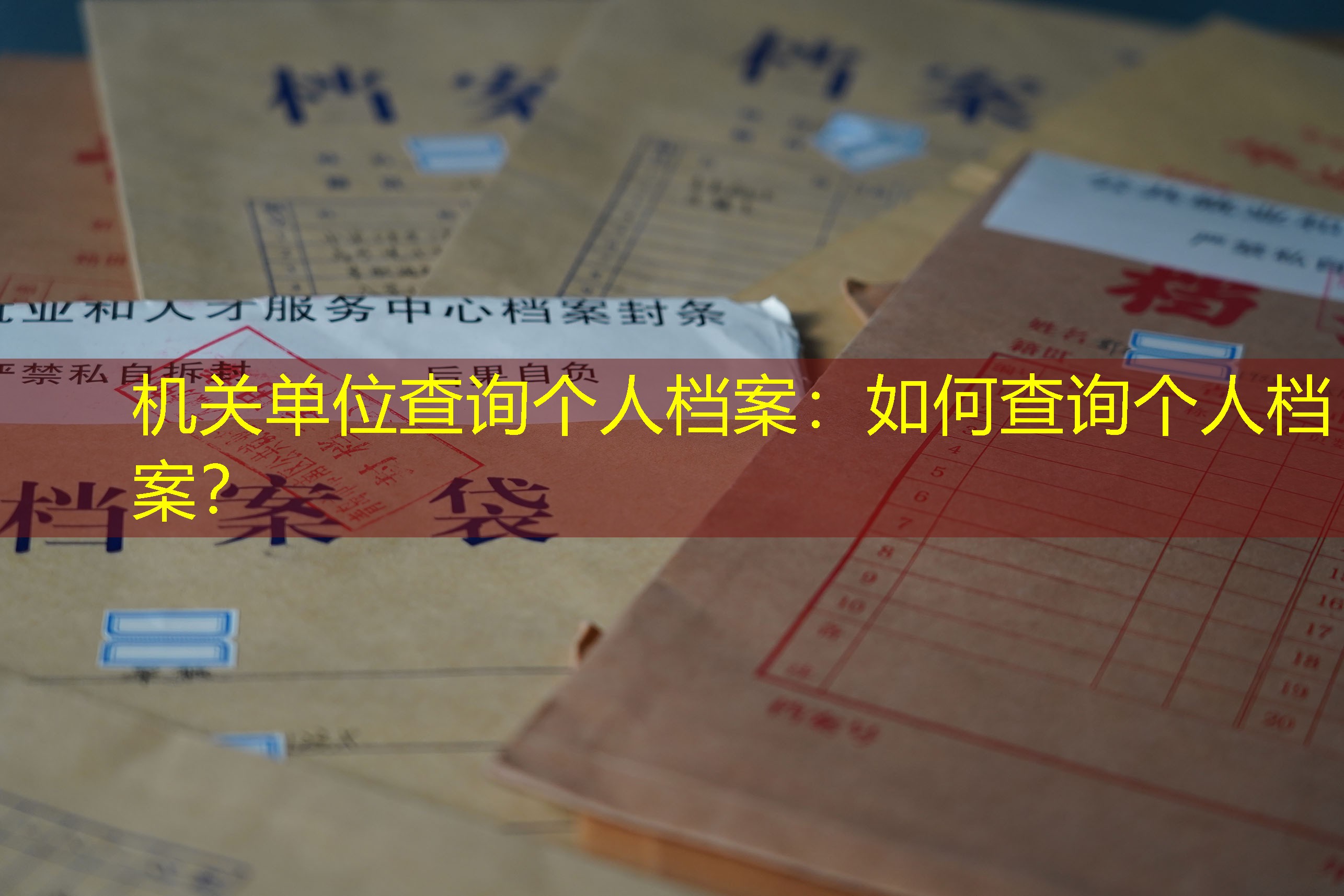 档案查询