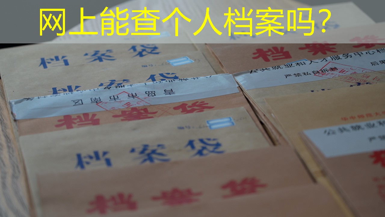 档案查询