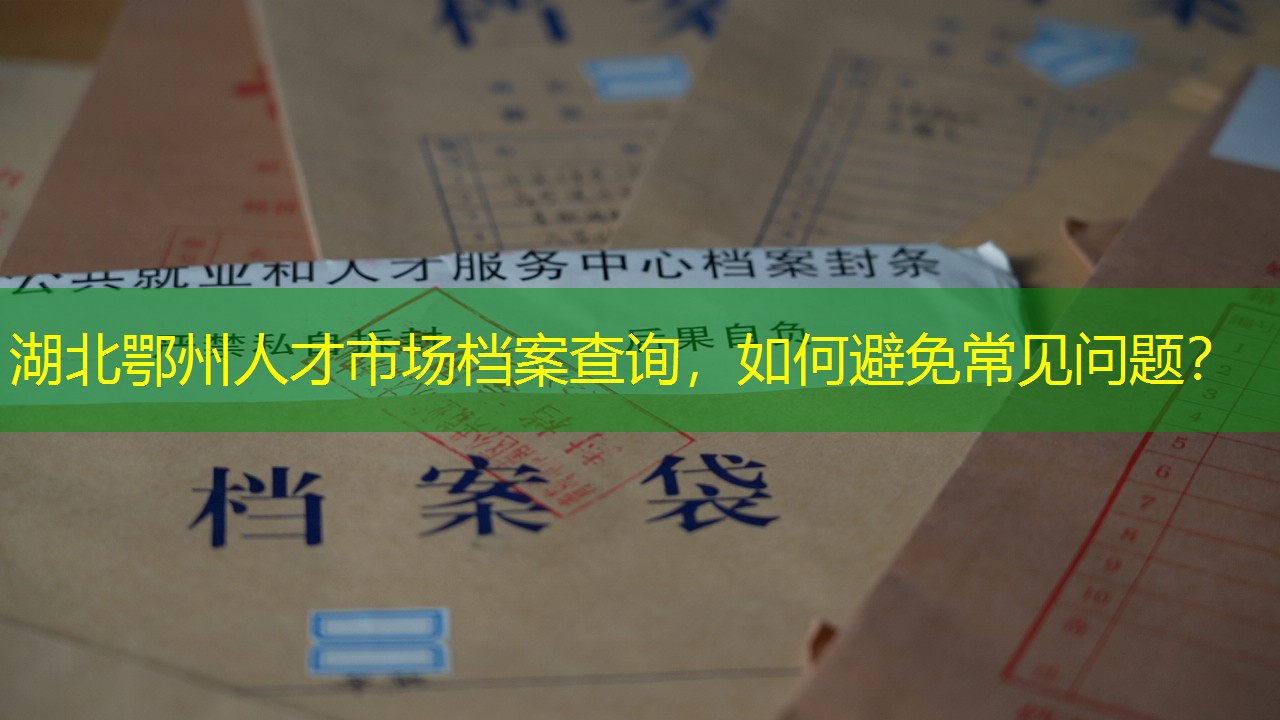 档案查询