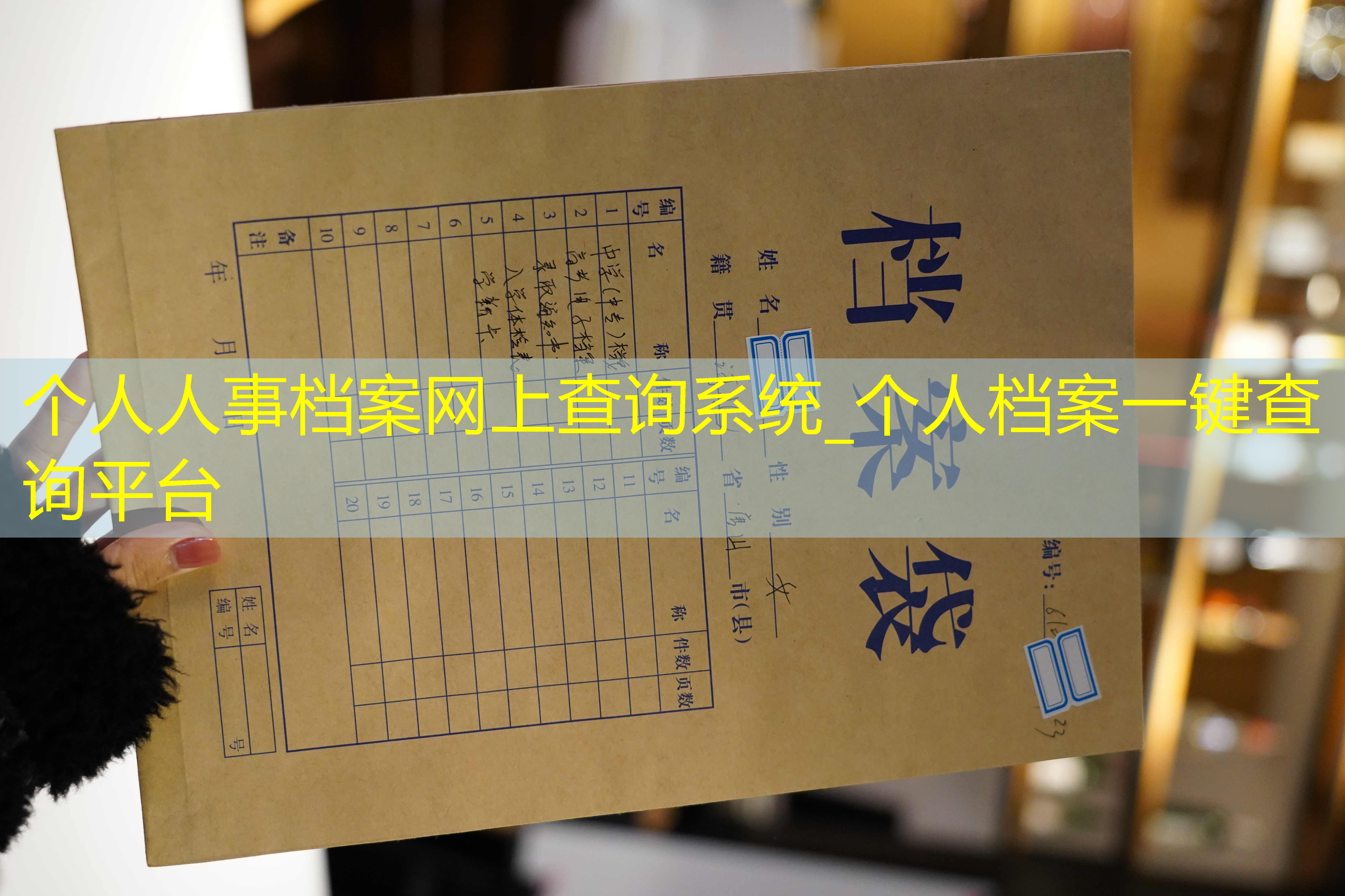 档案查询