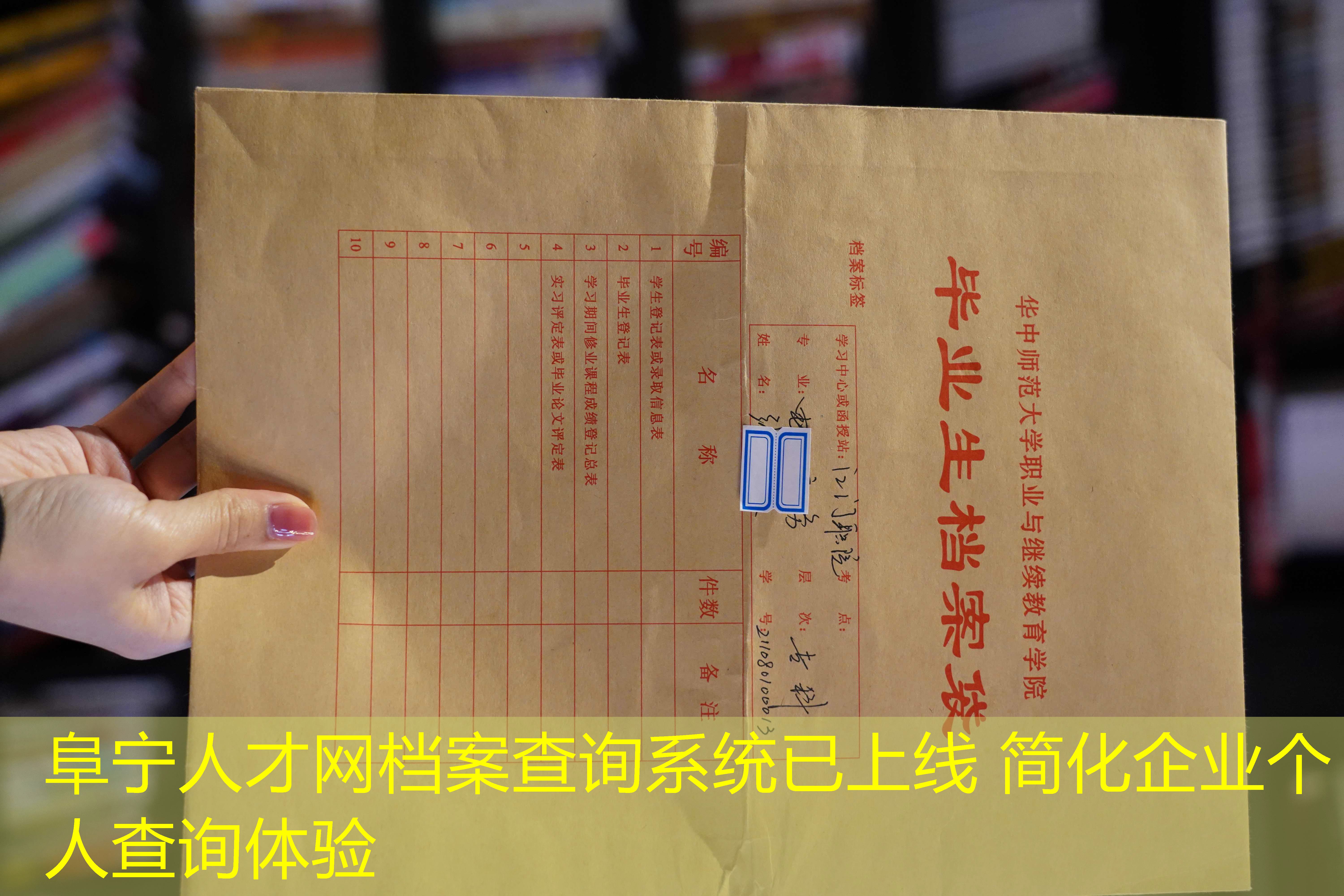 档案查询