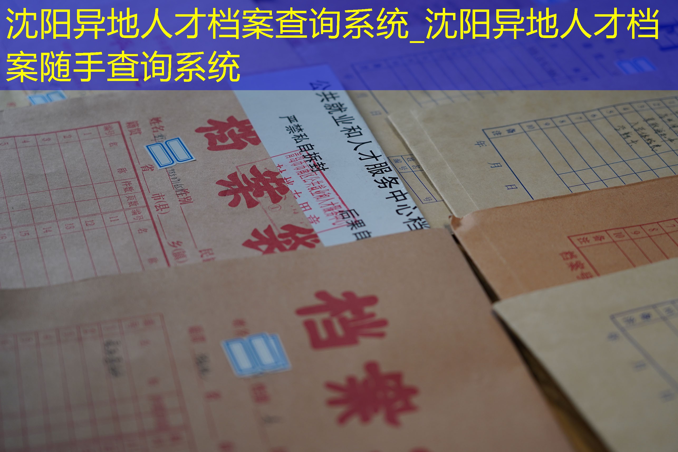 档案查询