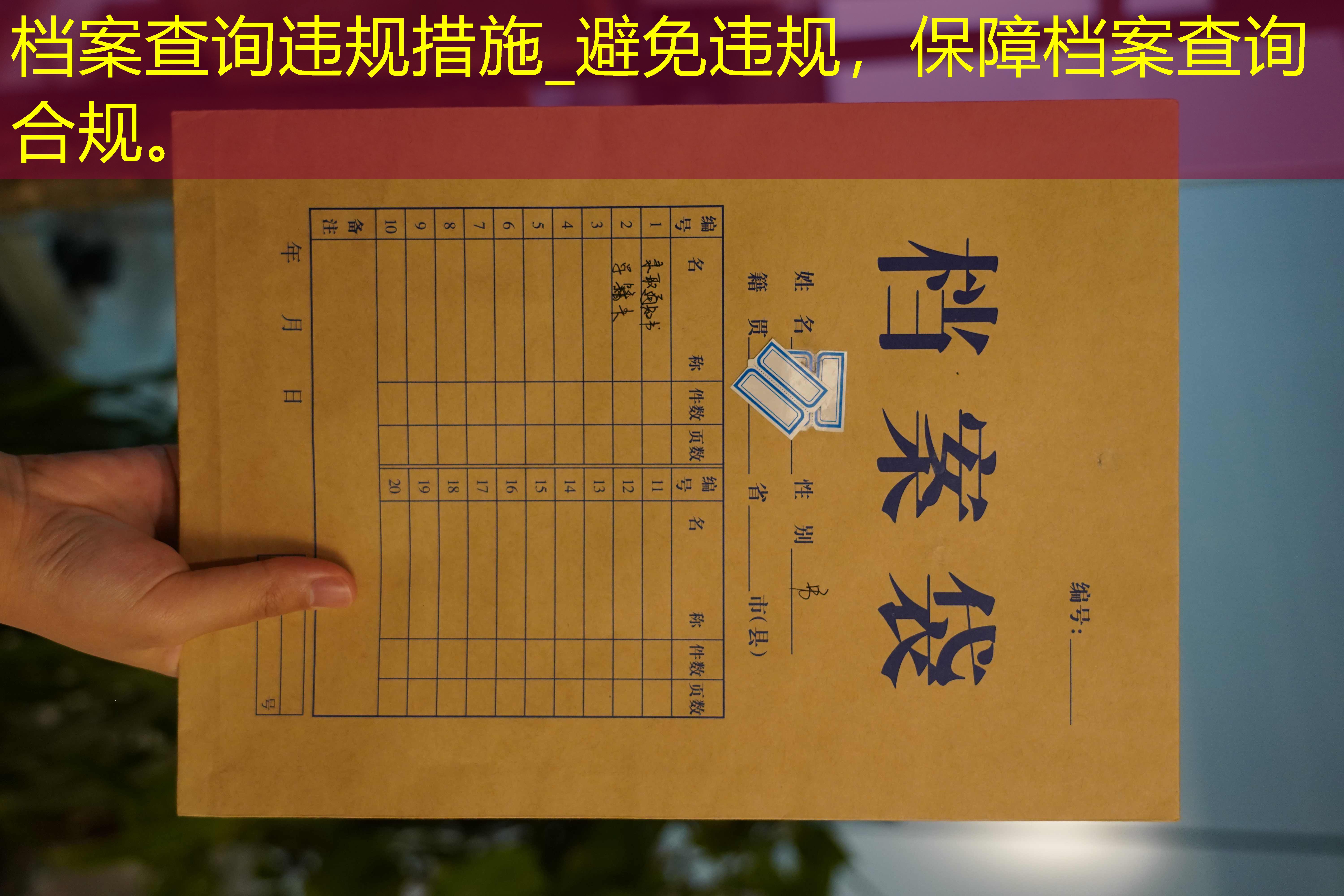 档案查询