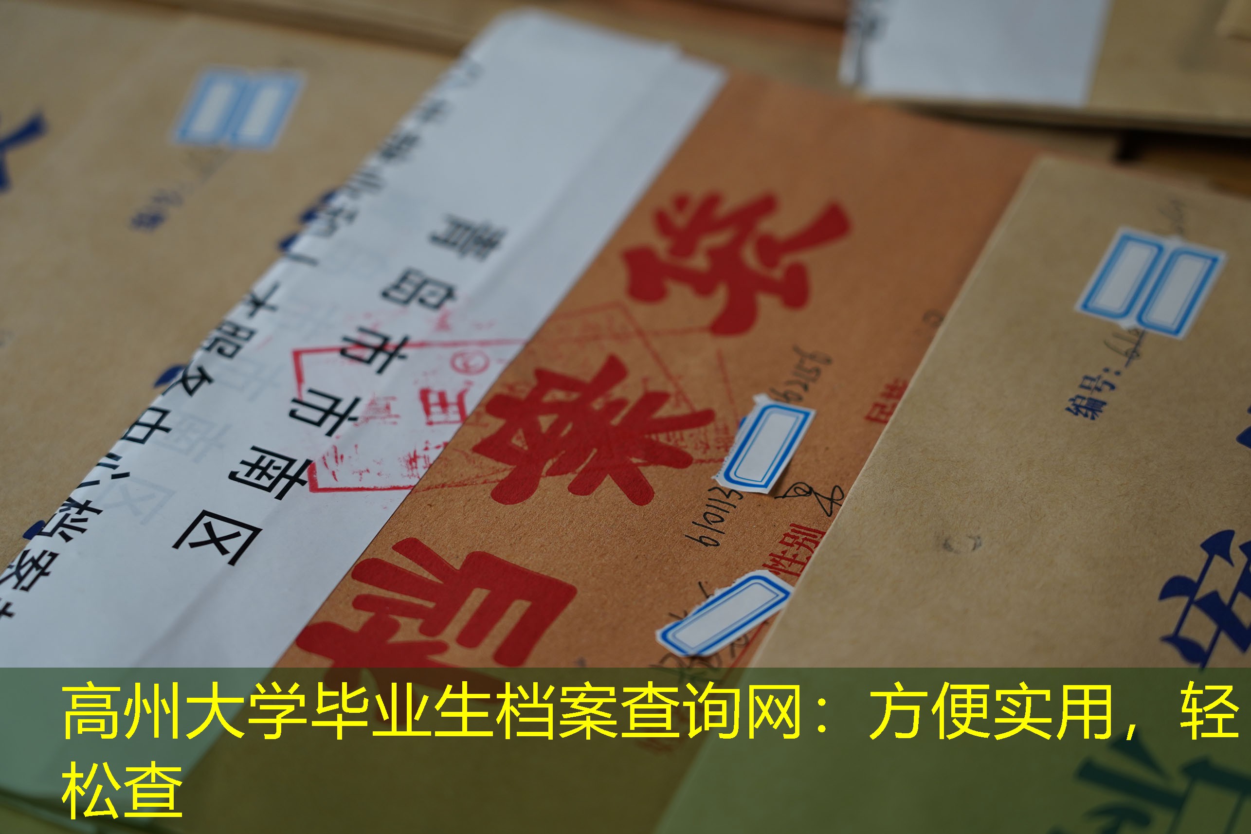 档案查询