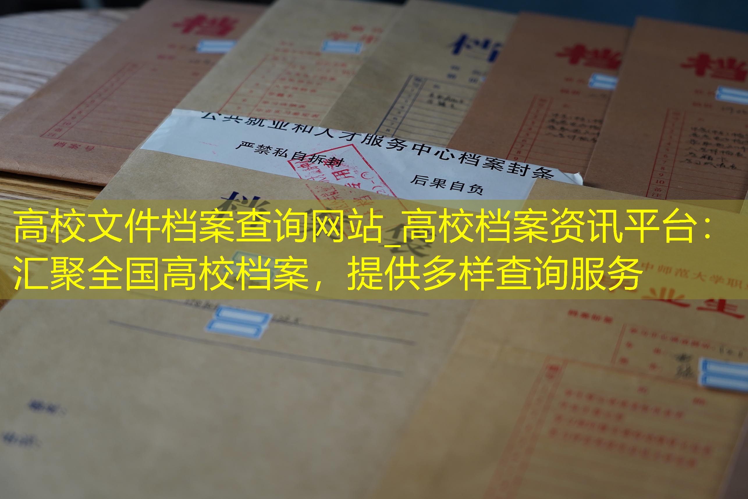 档案查询