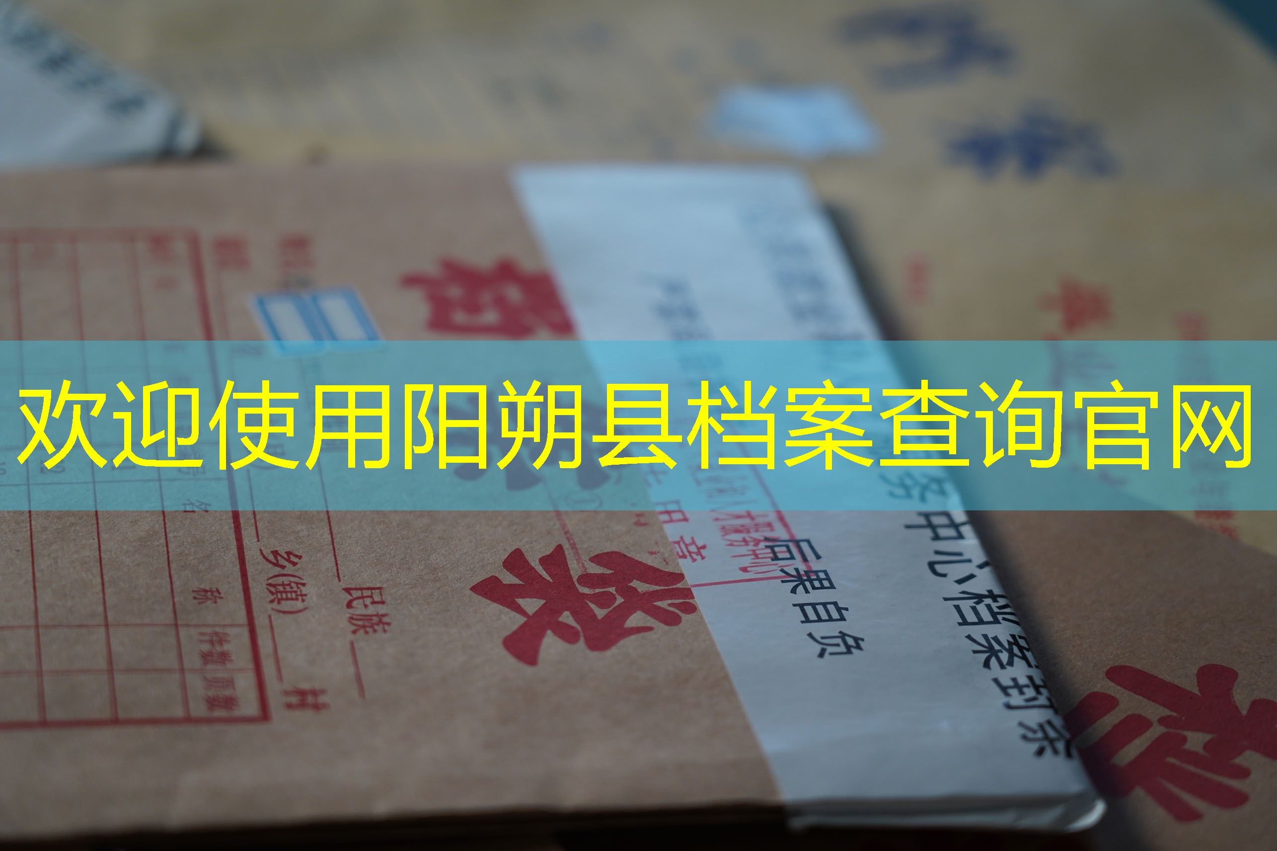 档案查询