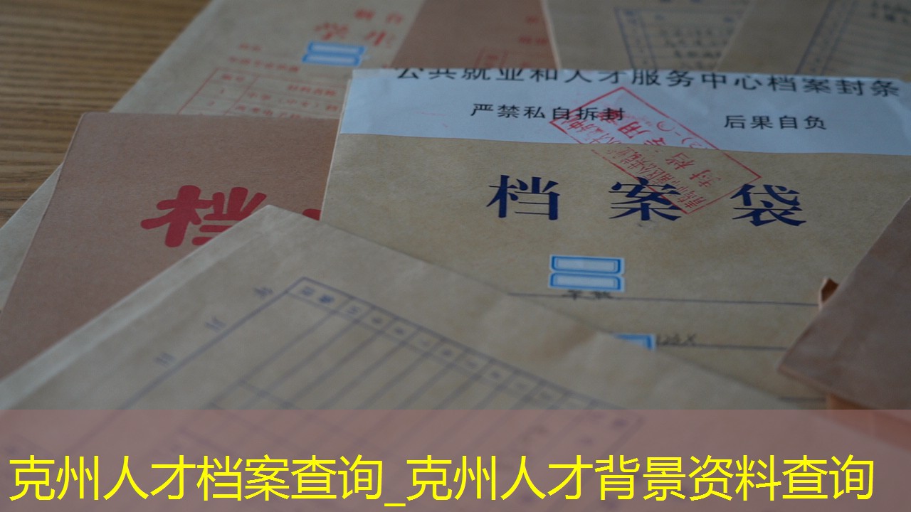 档案查询