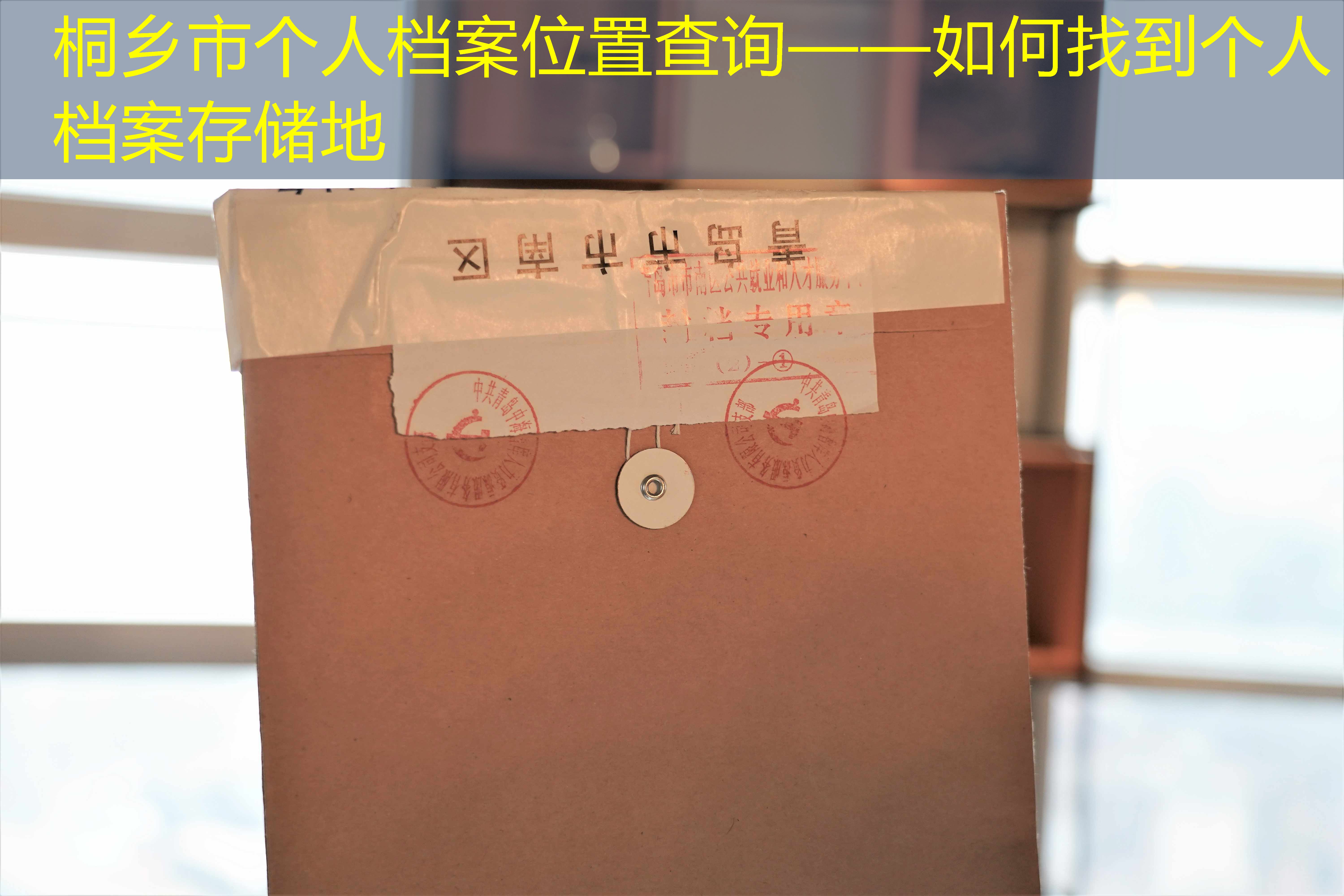 档案查询