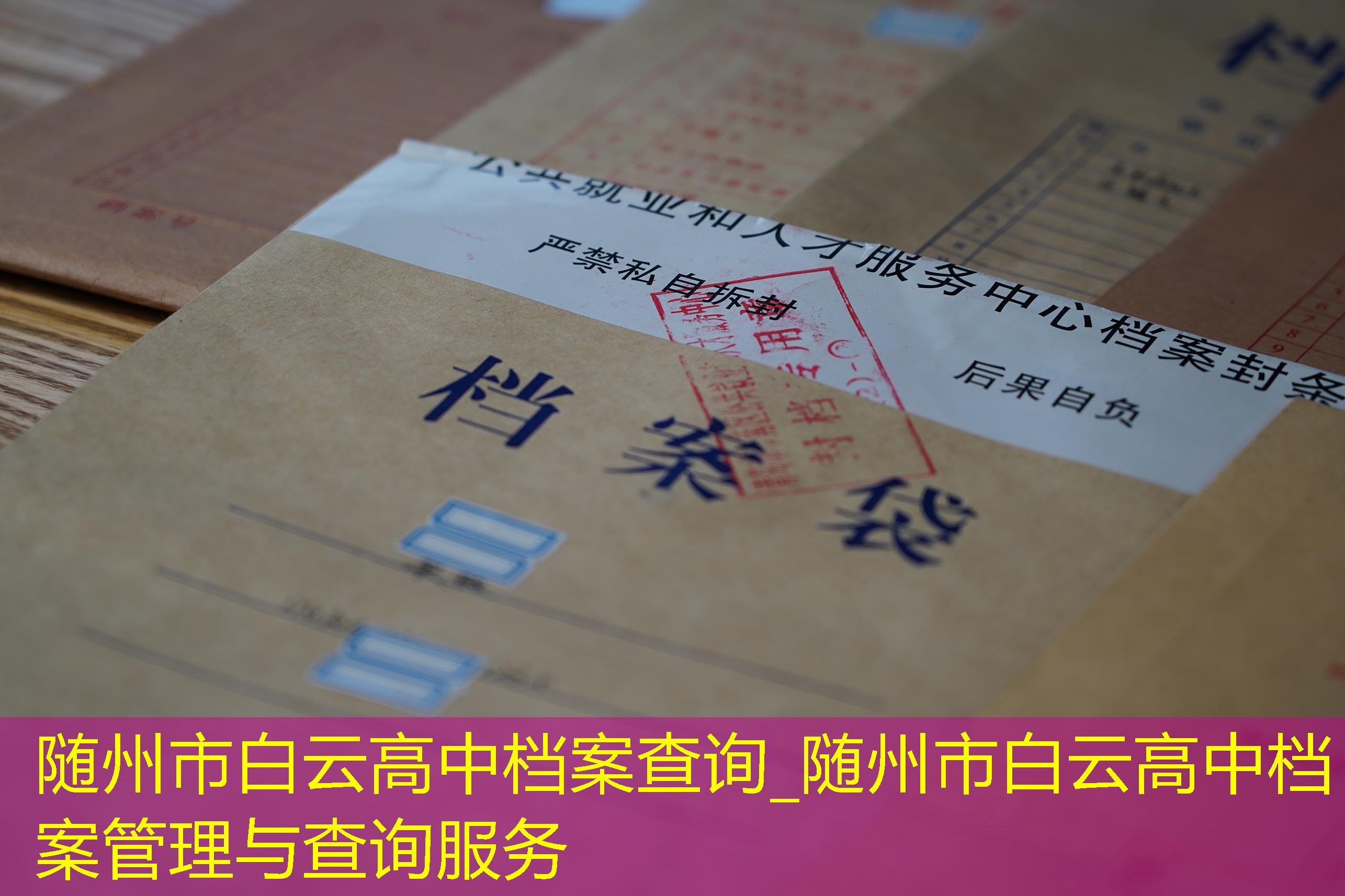 档案查询