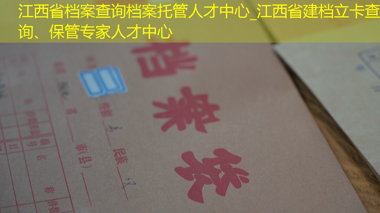 档案查询