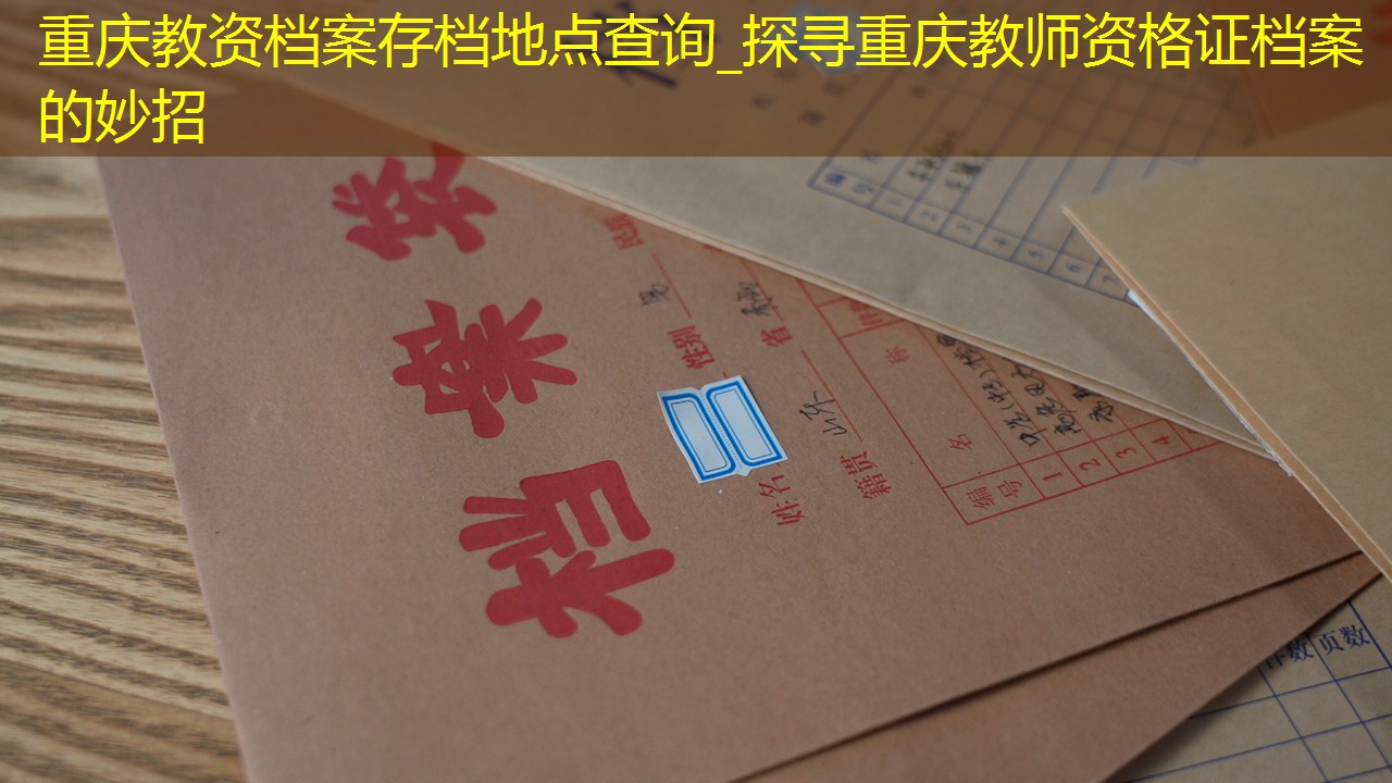 档案查询