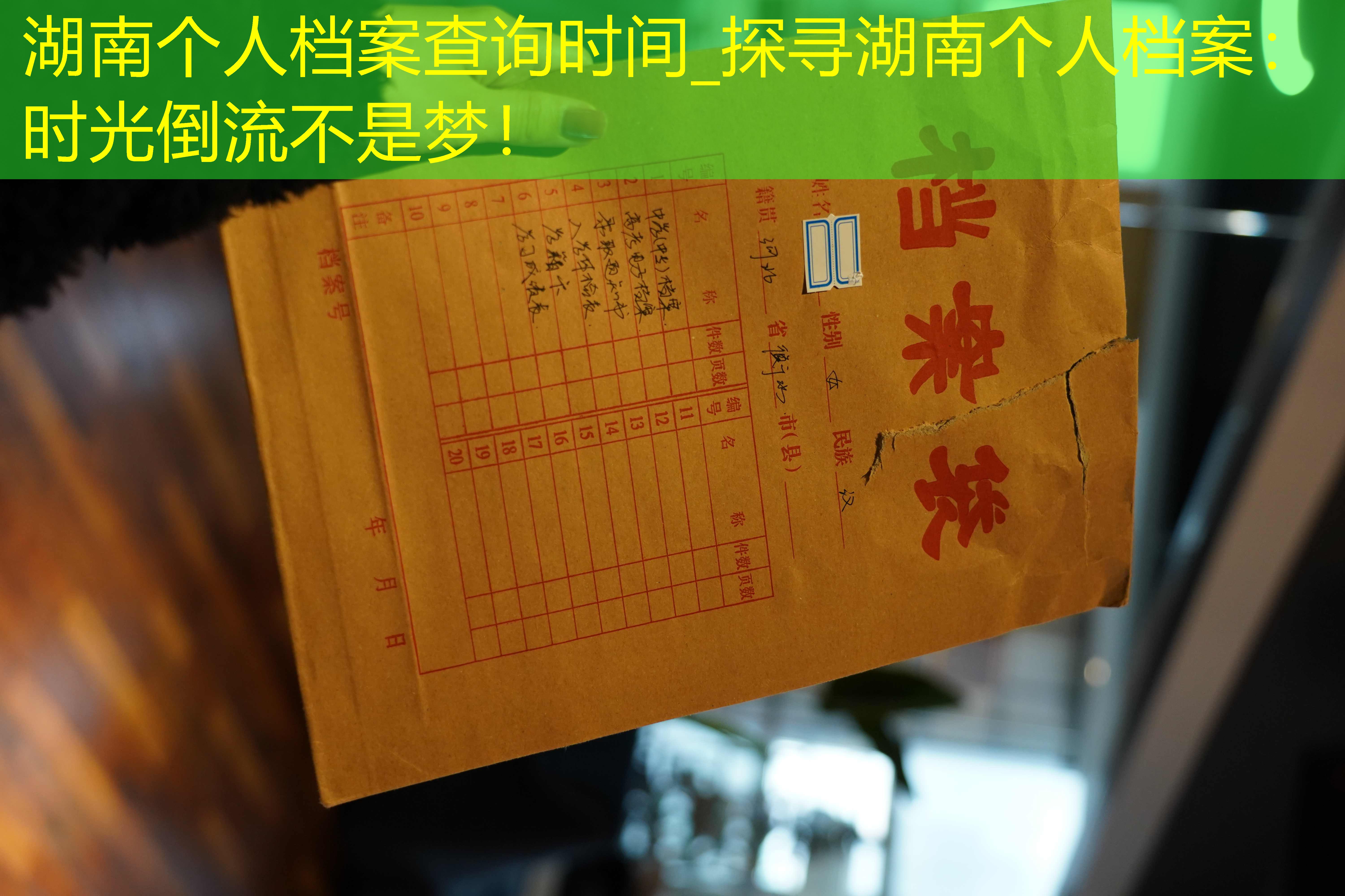 档案查询