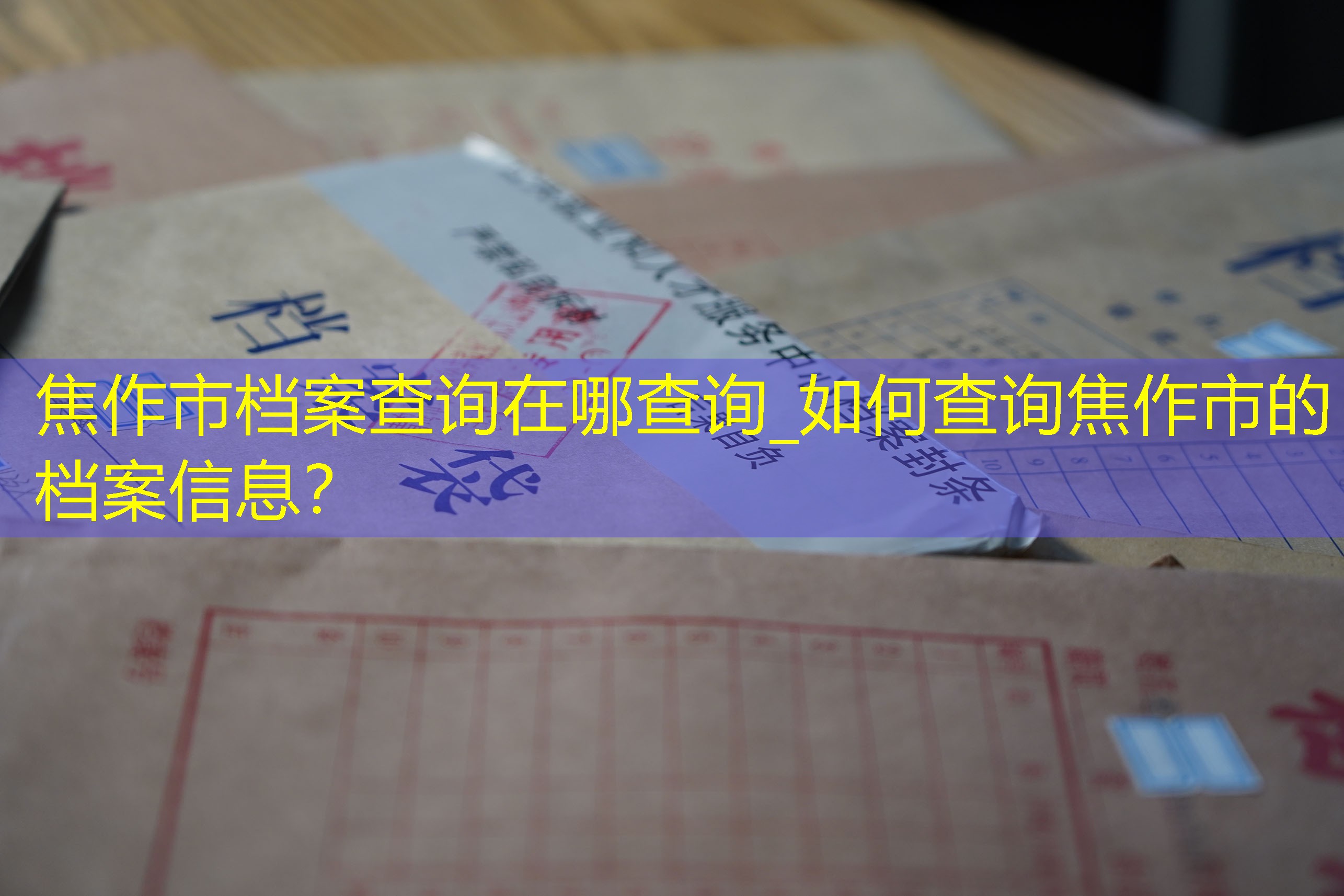 档案查询