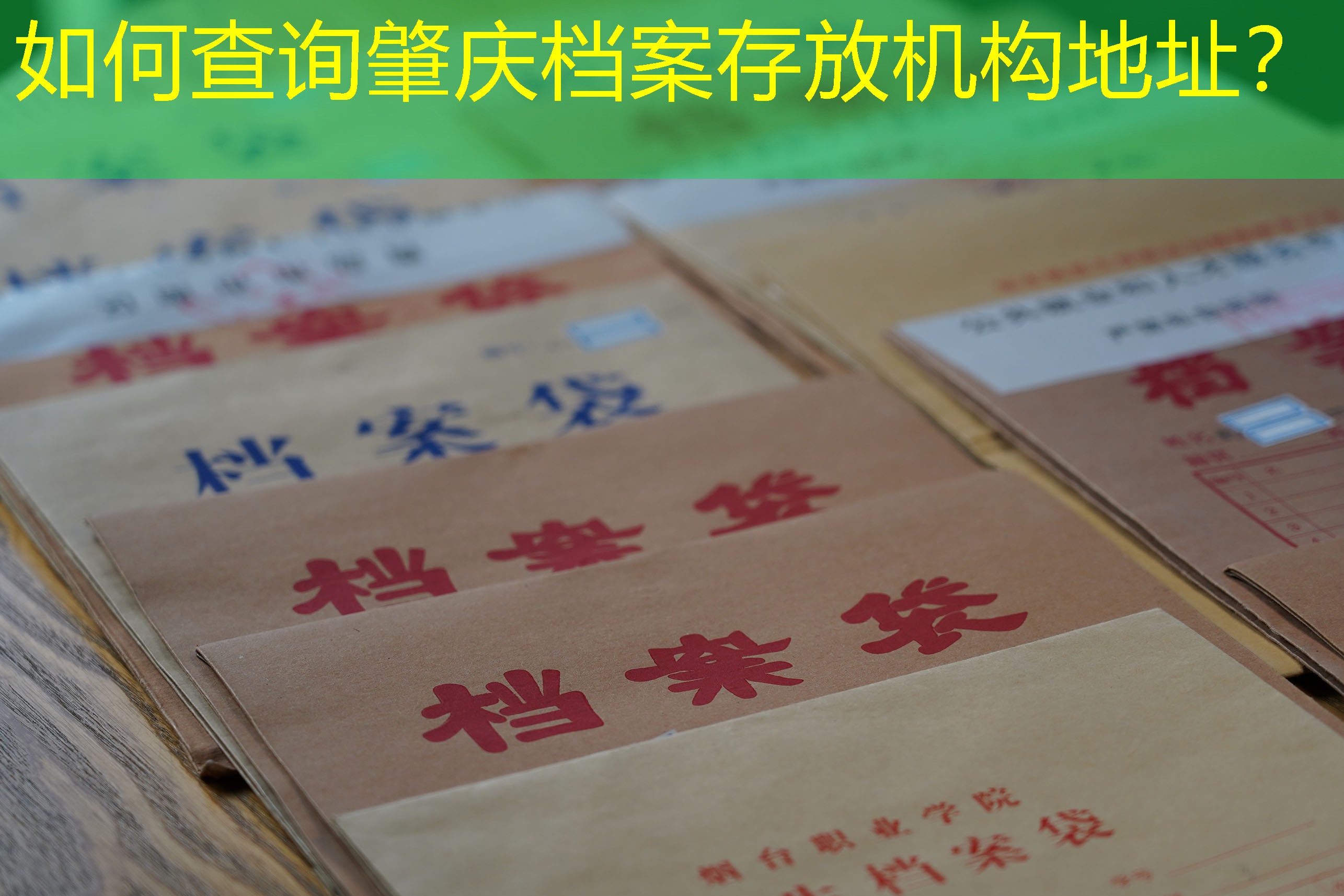 档案查询