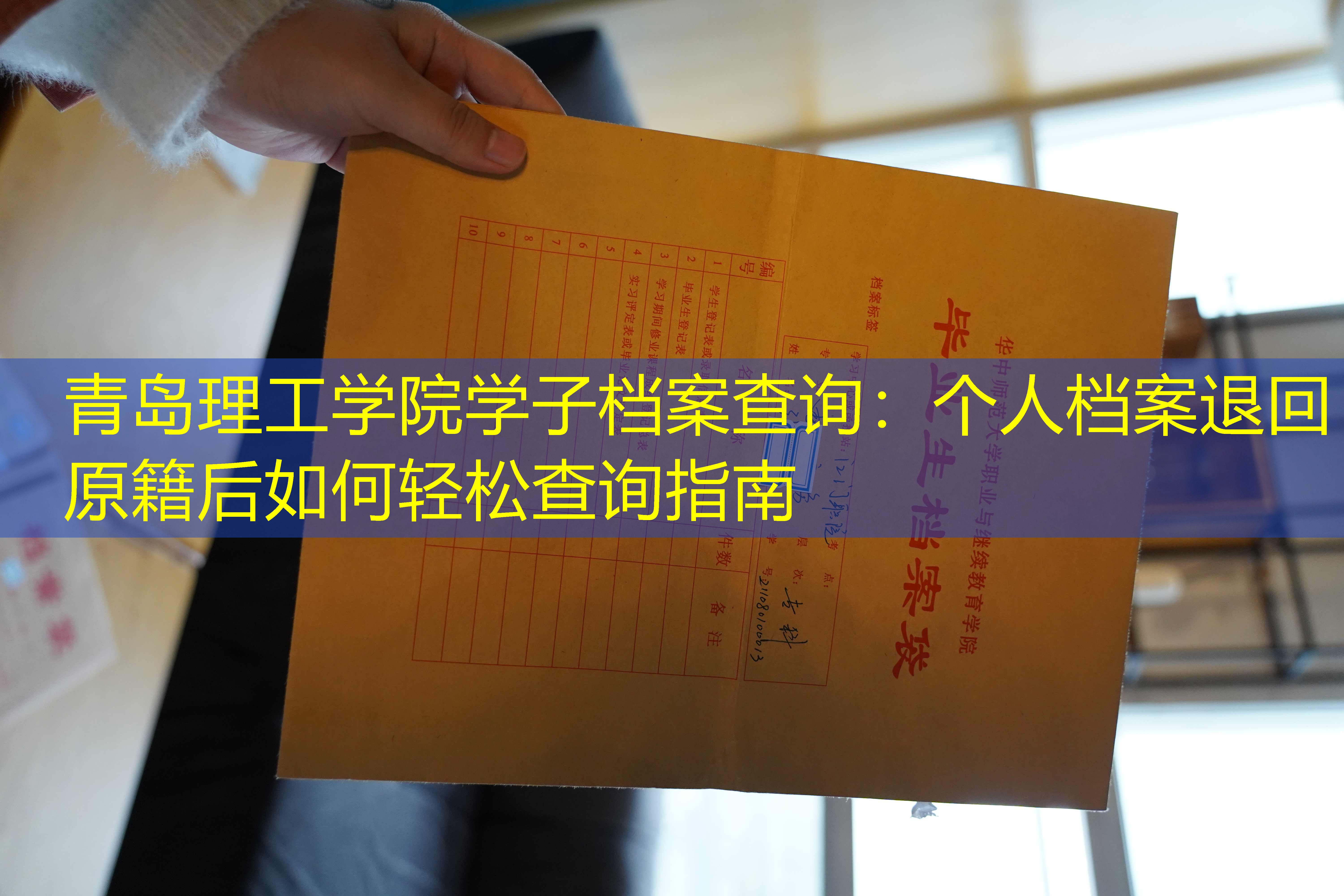 档案查询