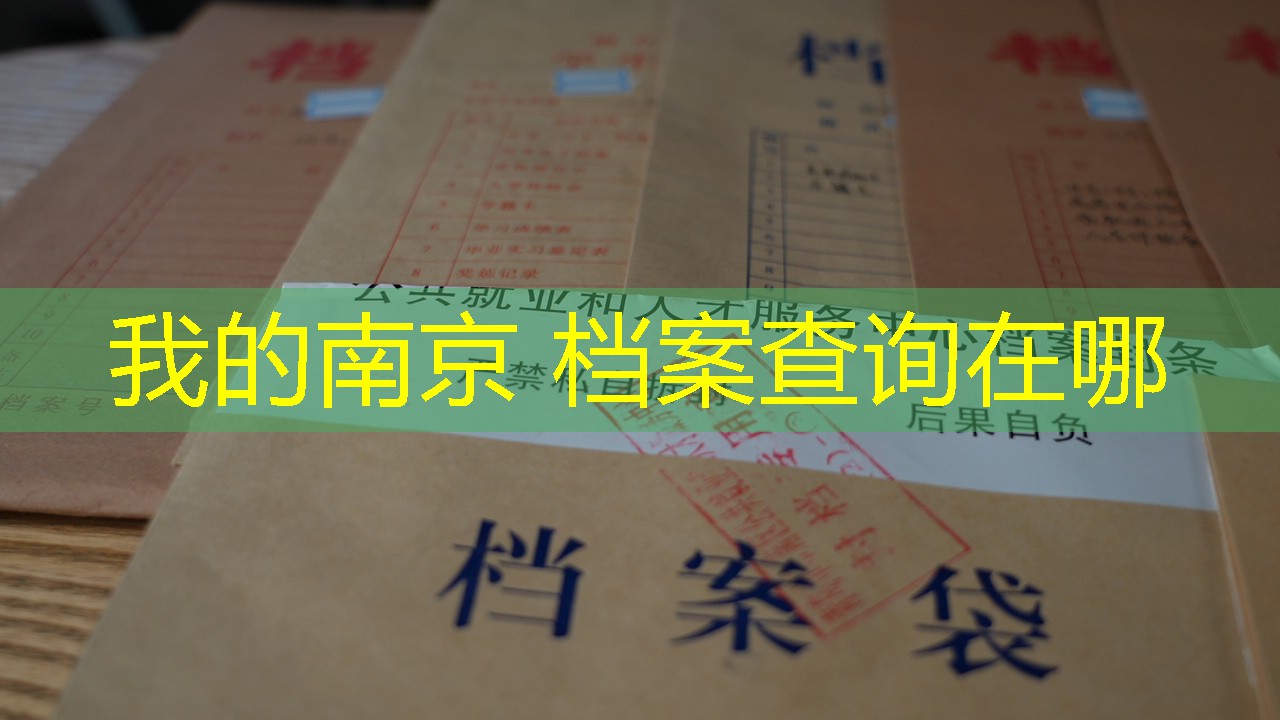 档案查询