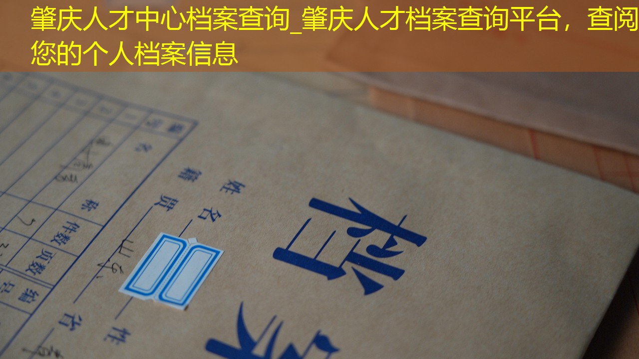 档案查询