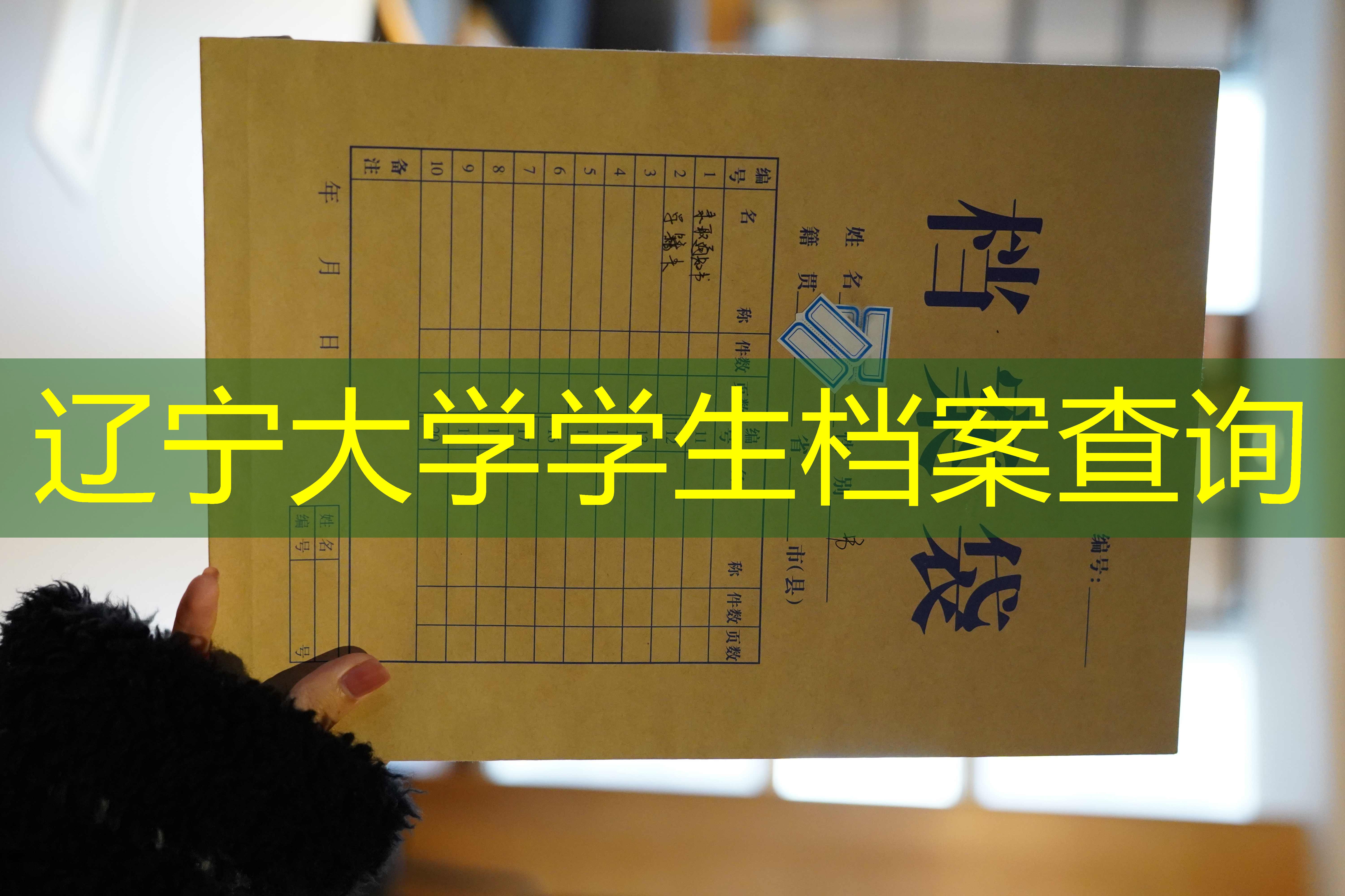 档案查询