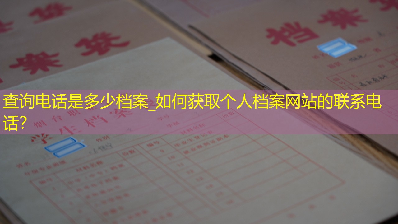 档案查询