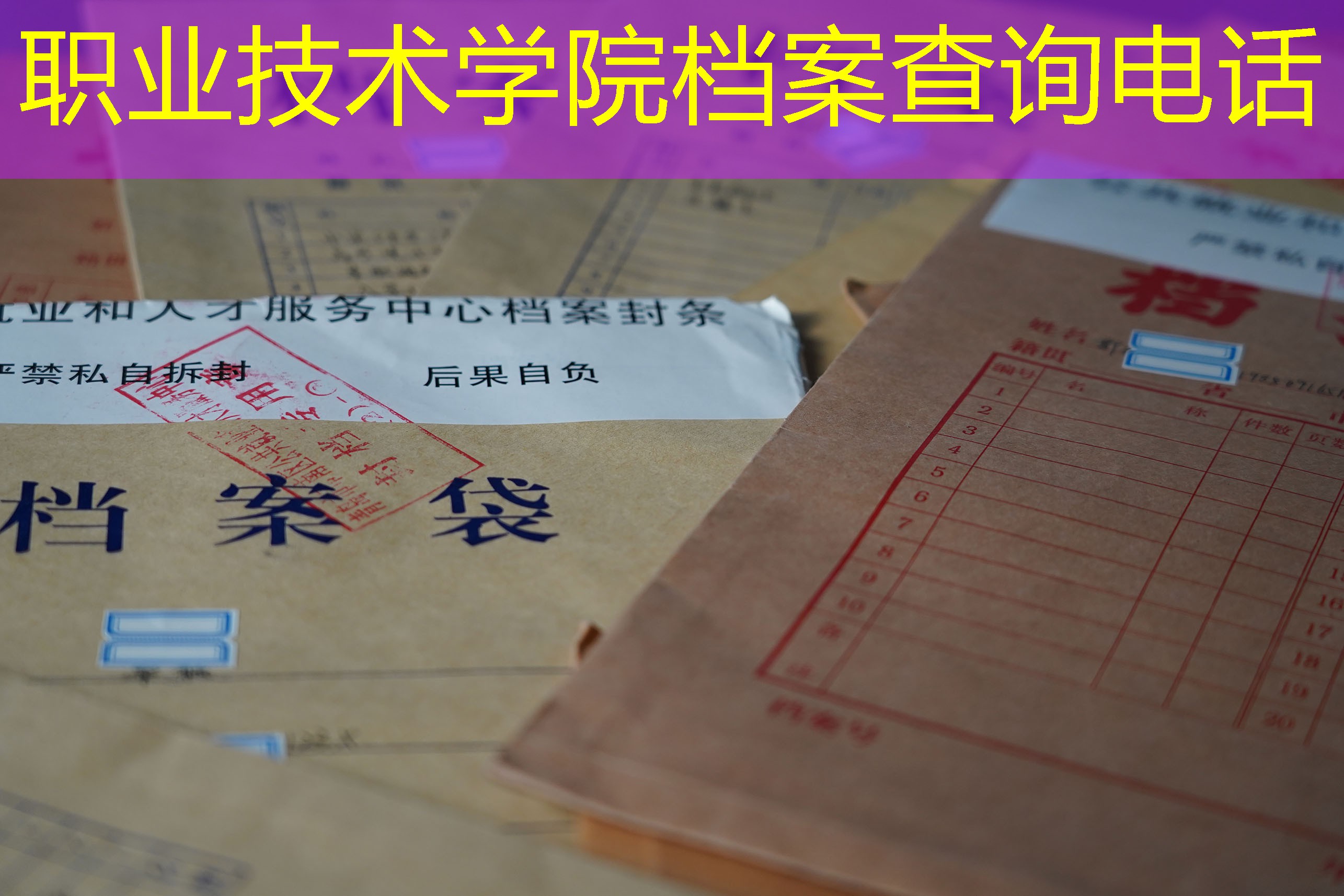 档案查询