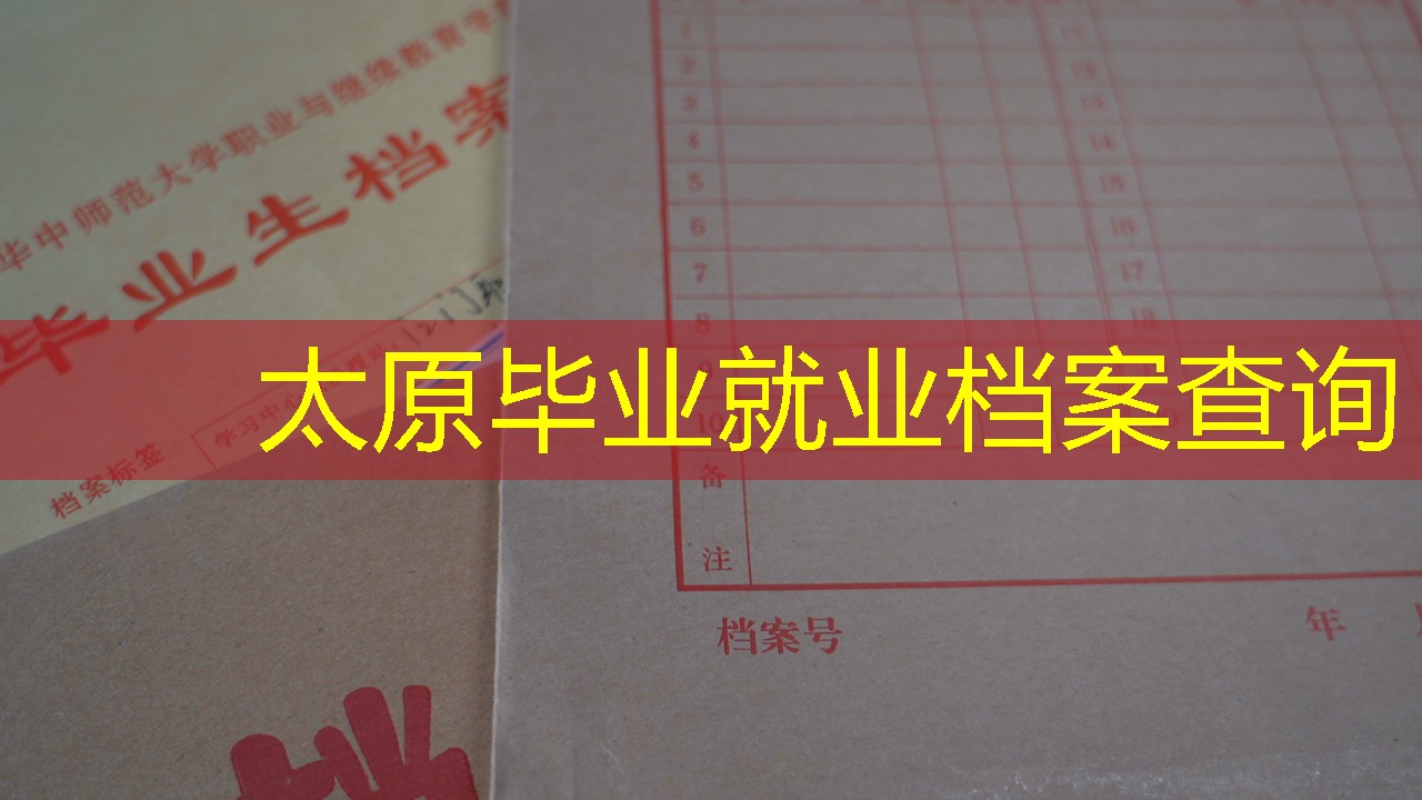 档案查询