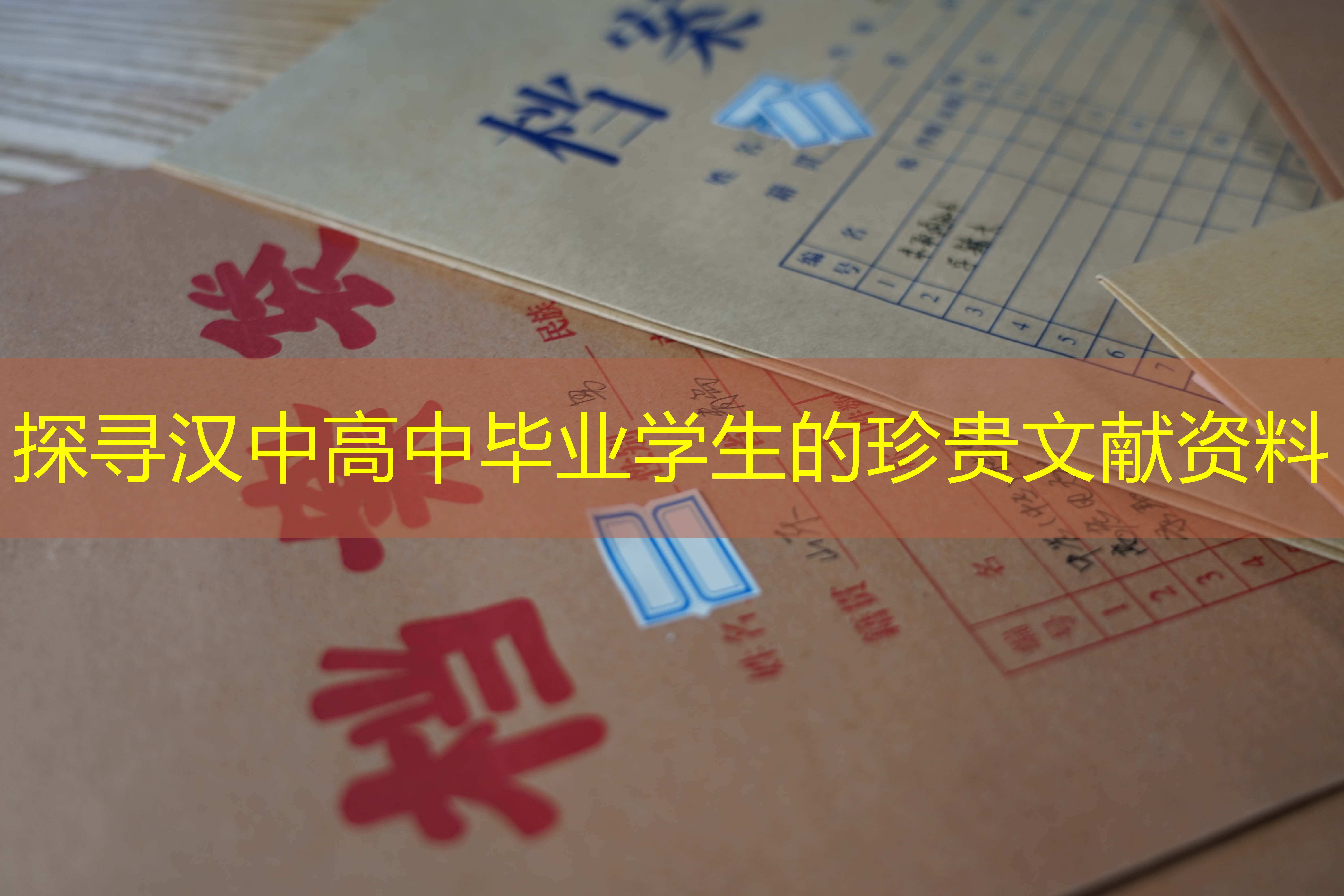 档案查询