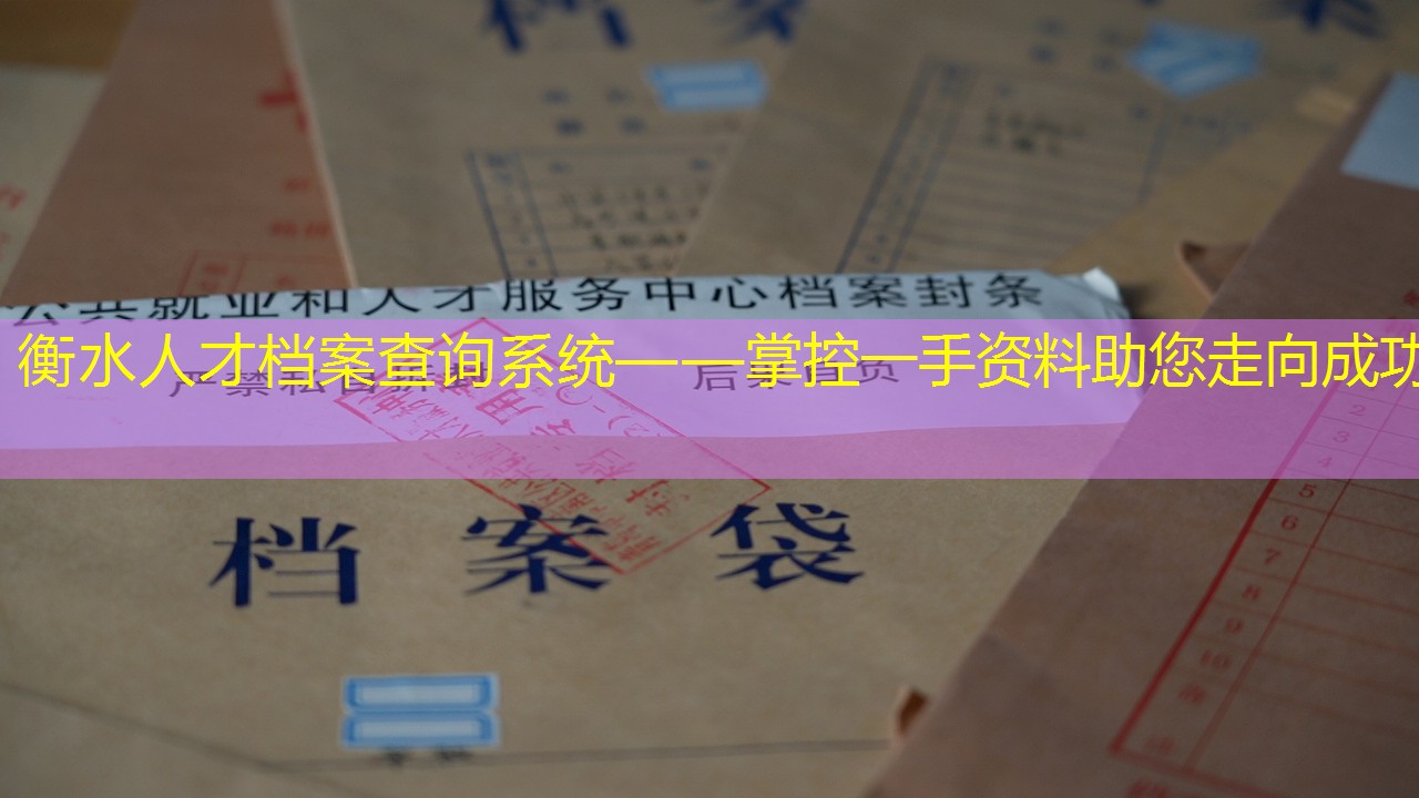 档案查询