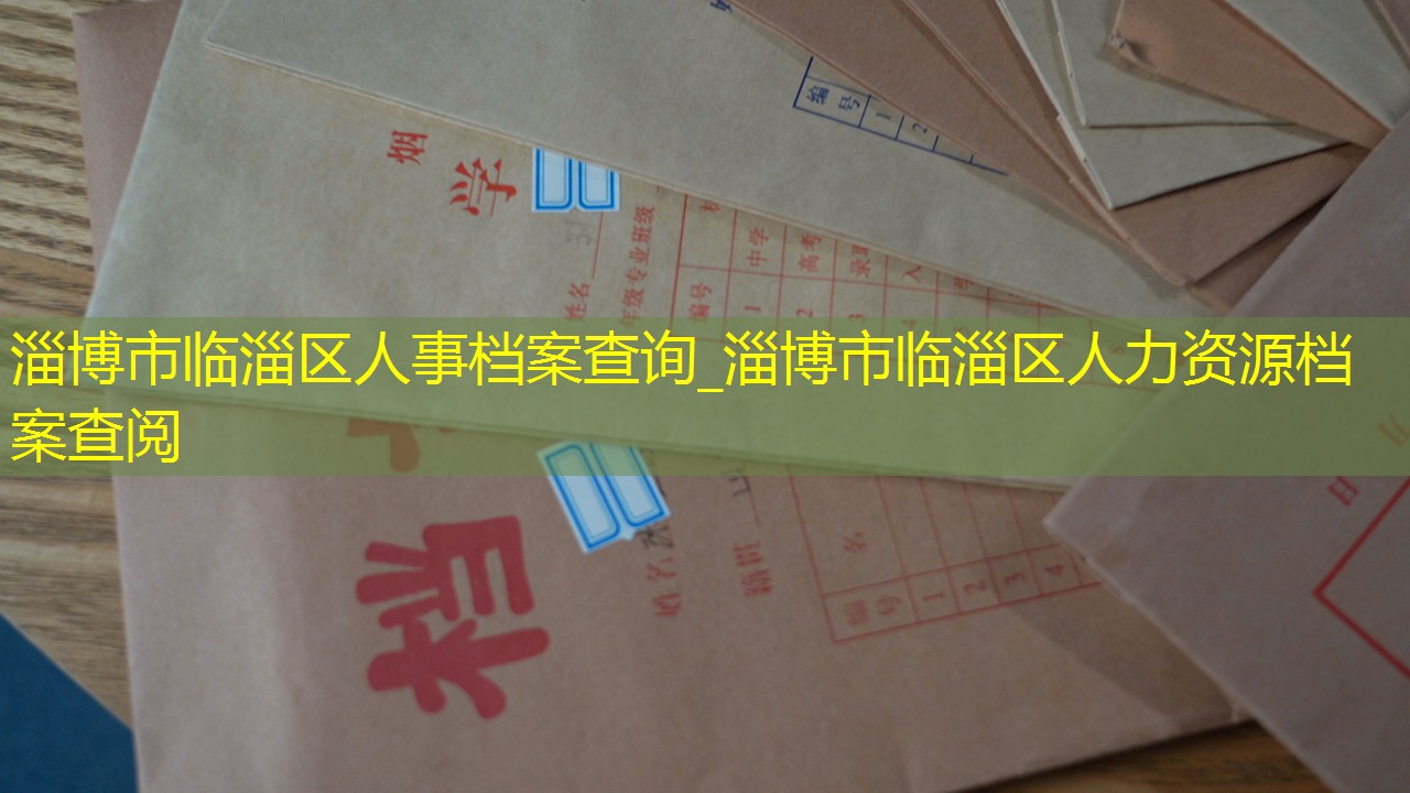 档案查询