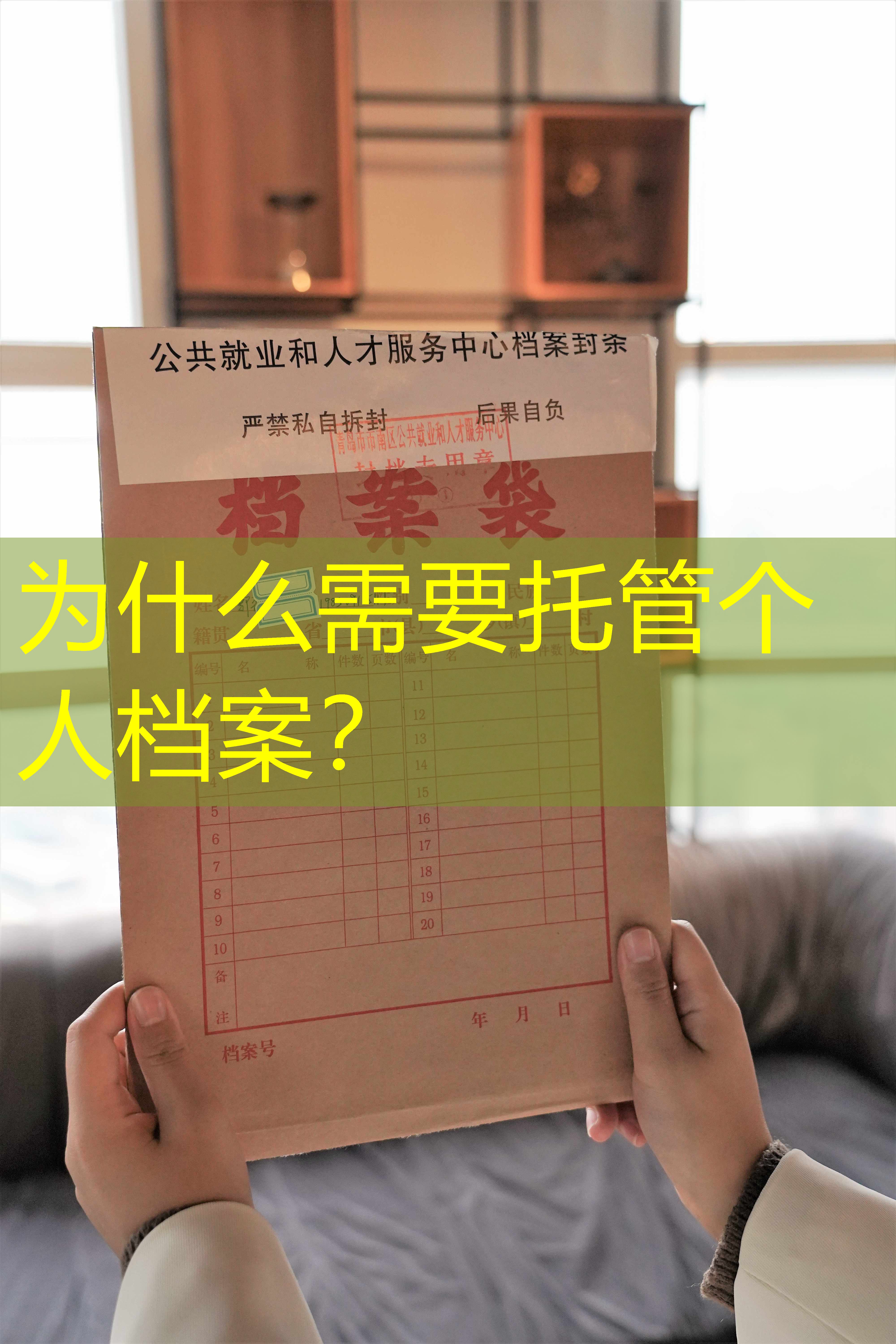 档案查询