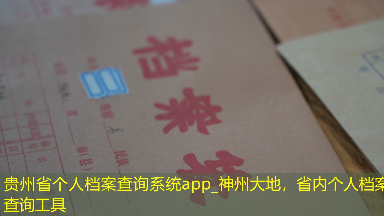档案查询