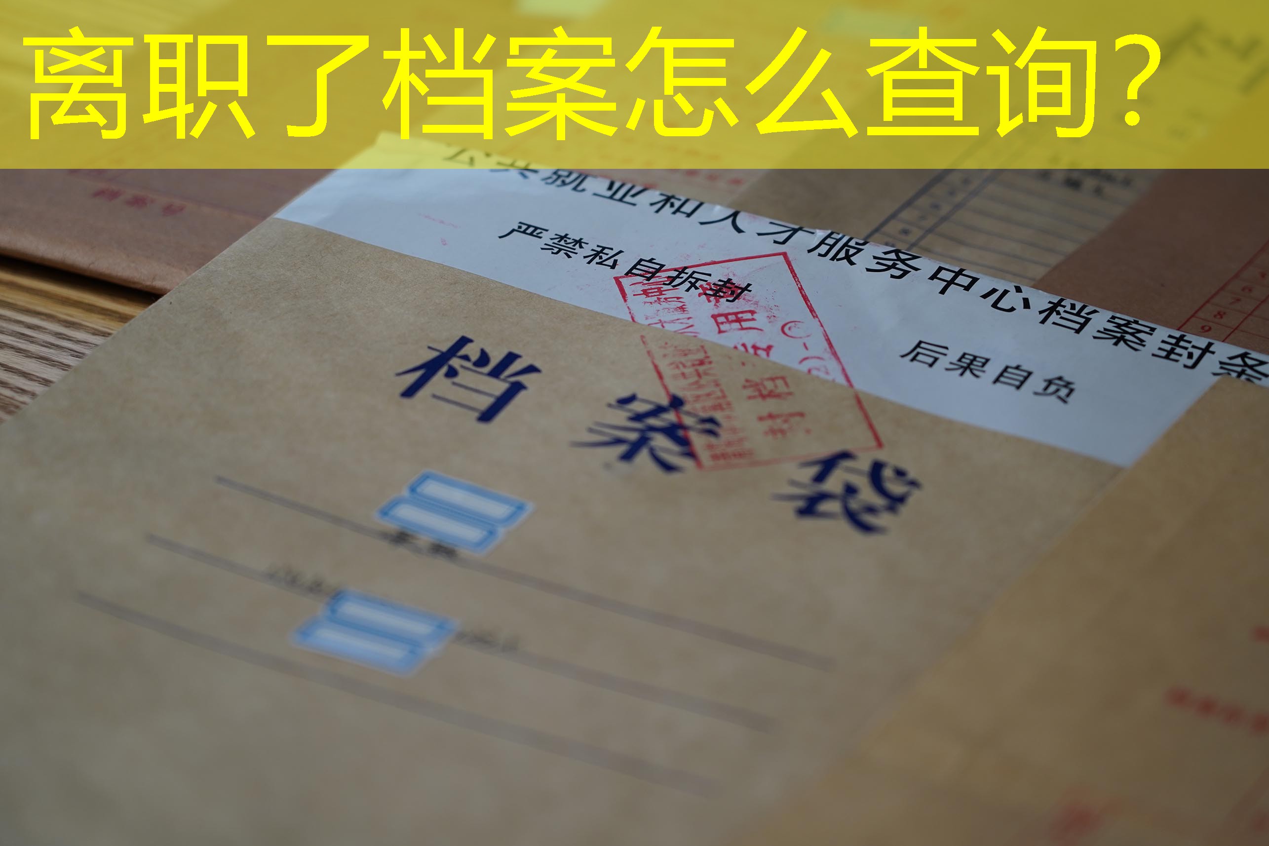 档案查询