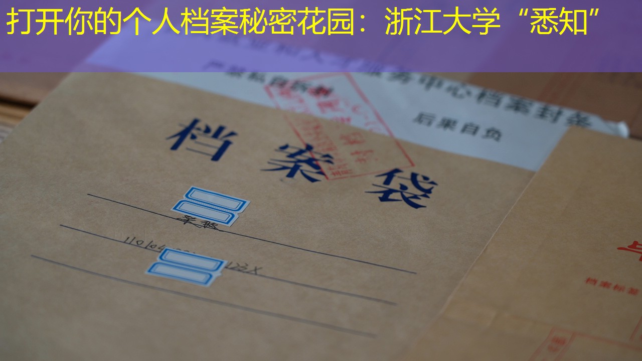 档案查询