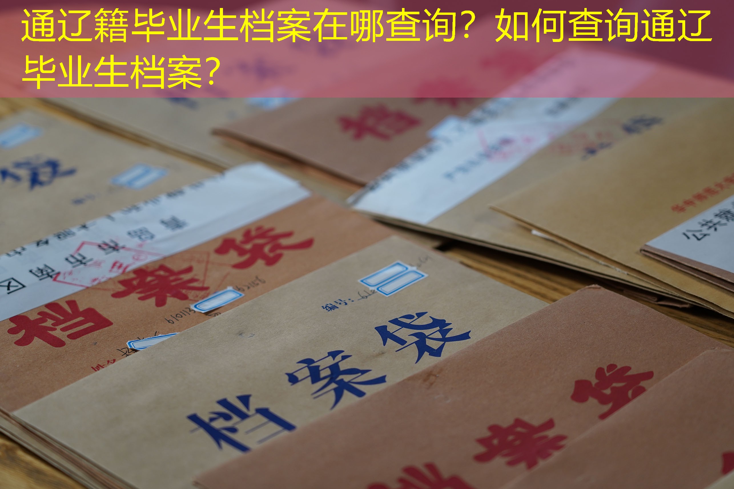 档案查询