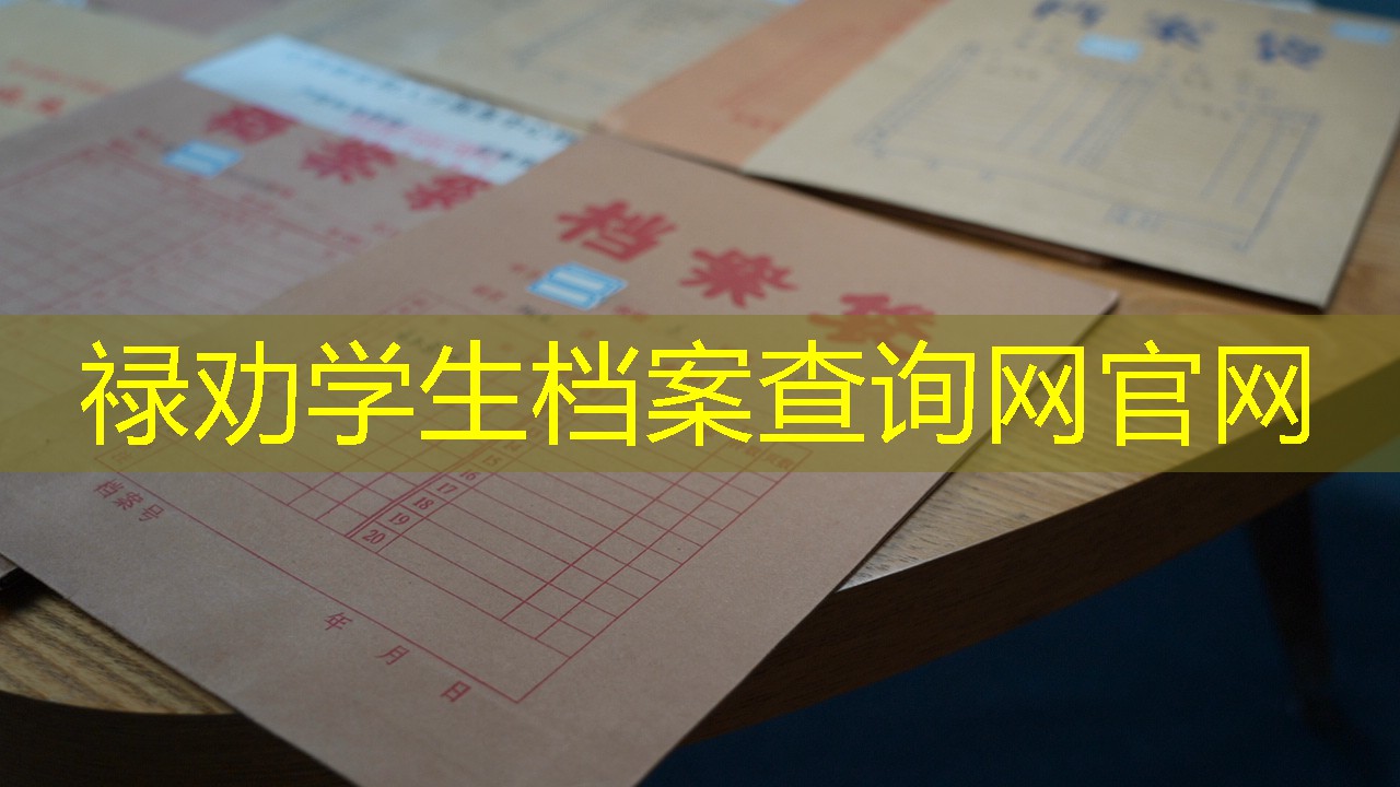 档案查询