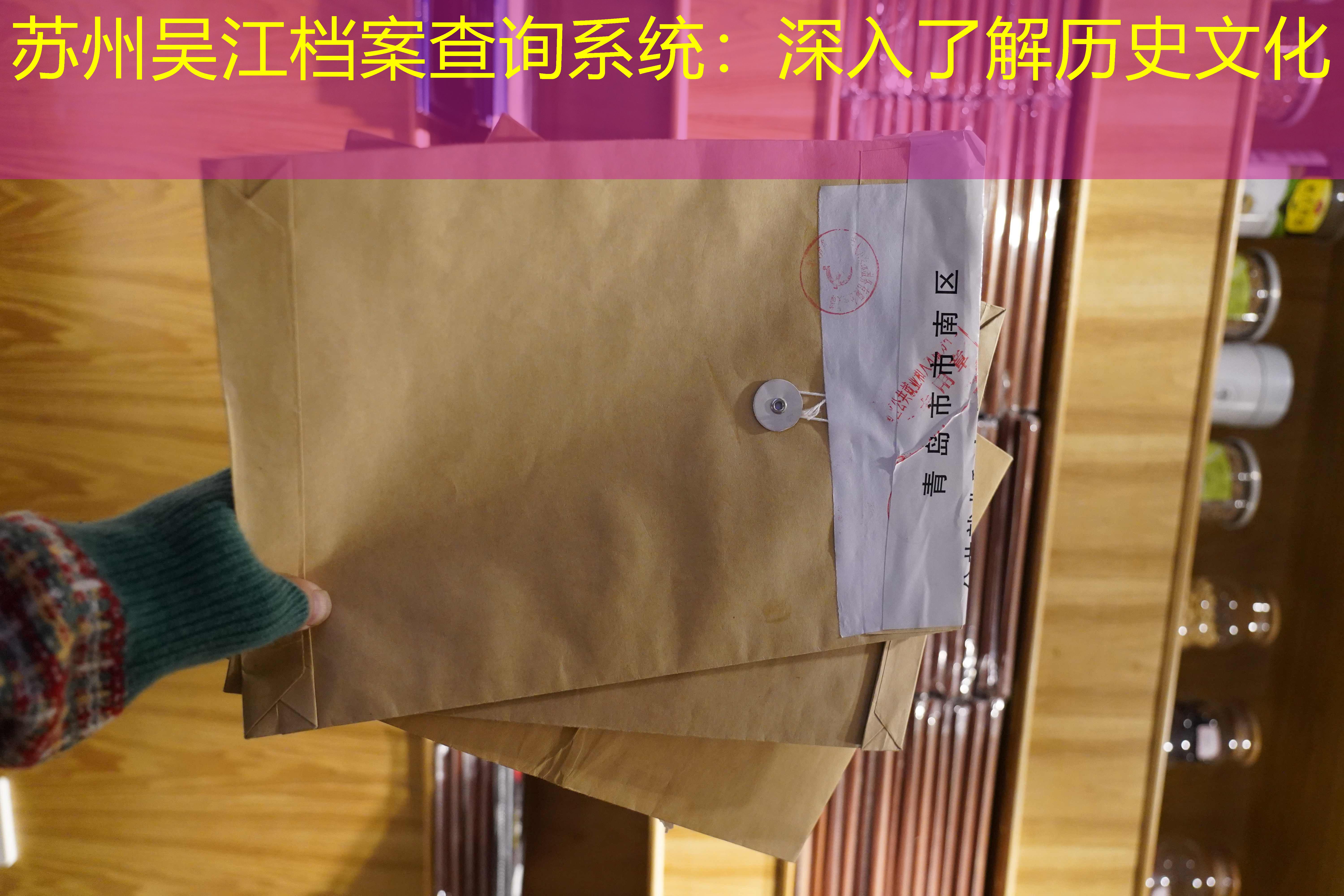 档案查询