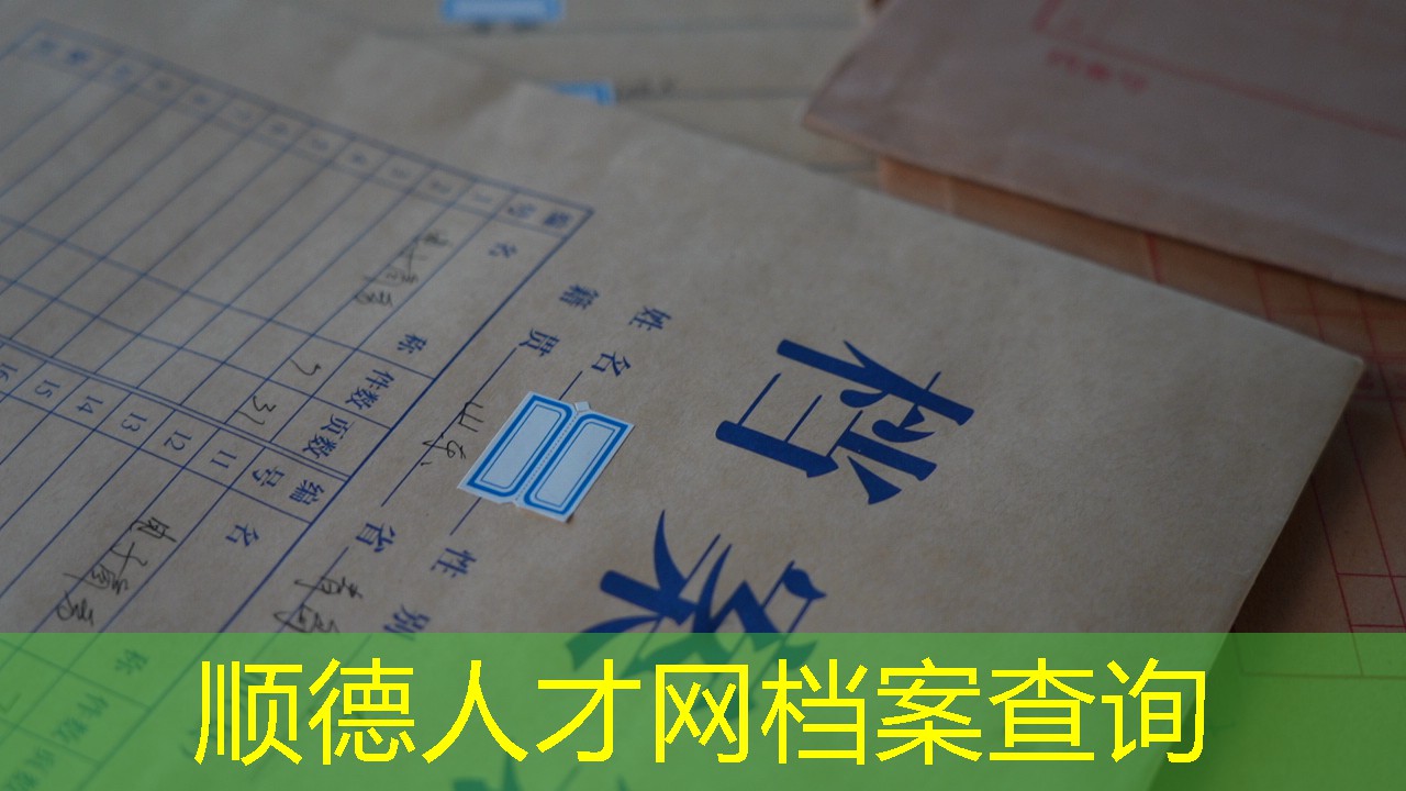档案查询
