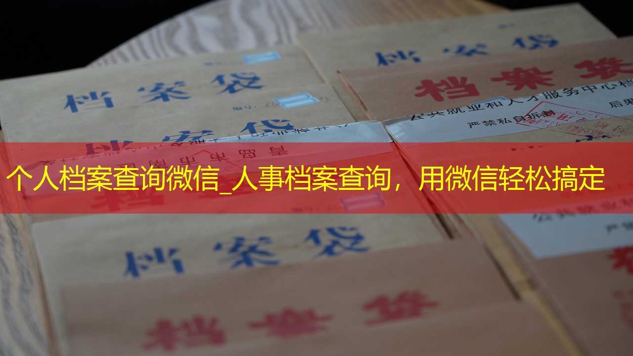 档案查询