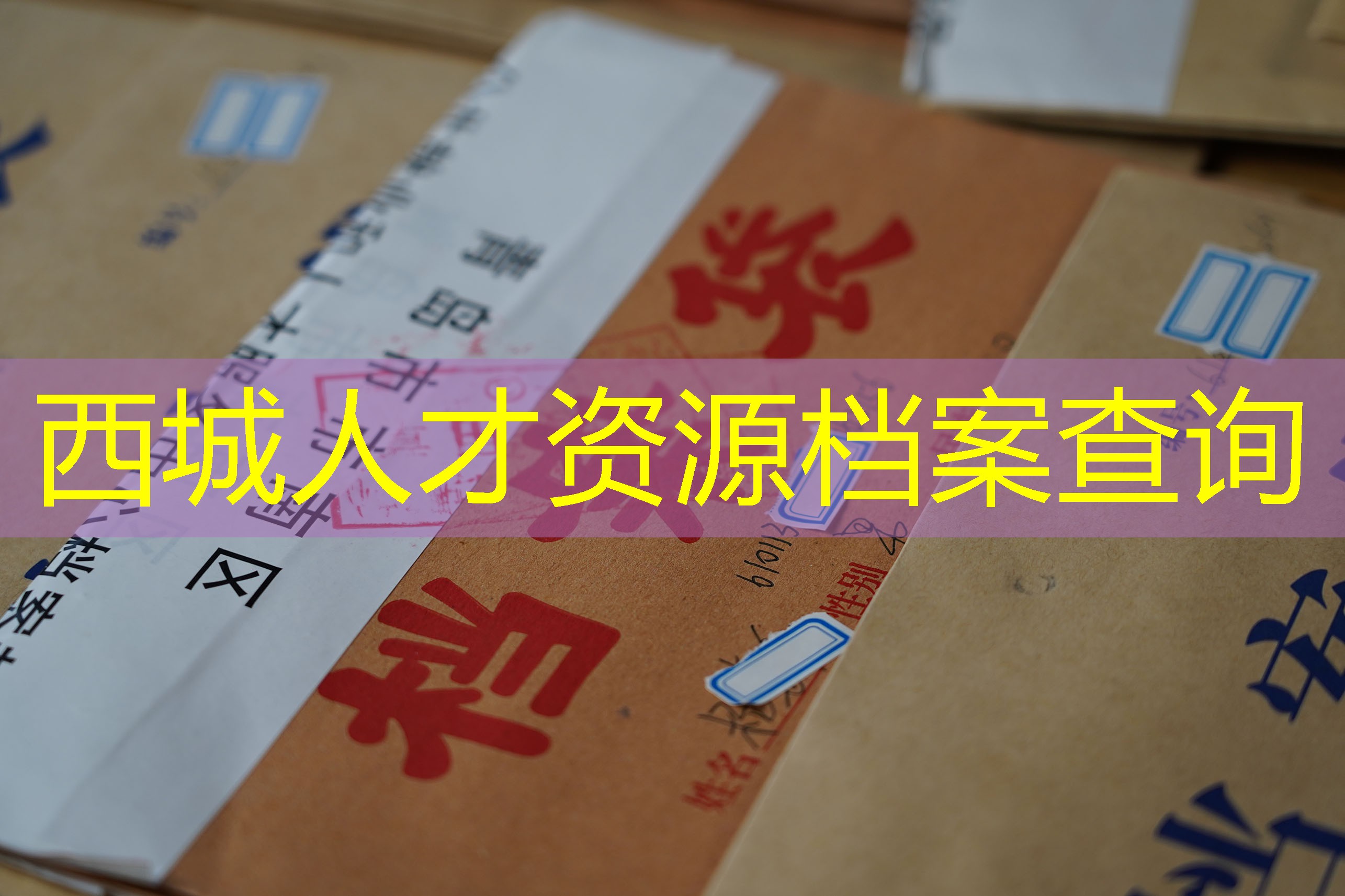 档案查询