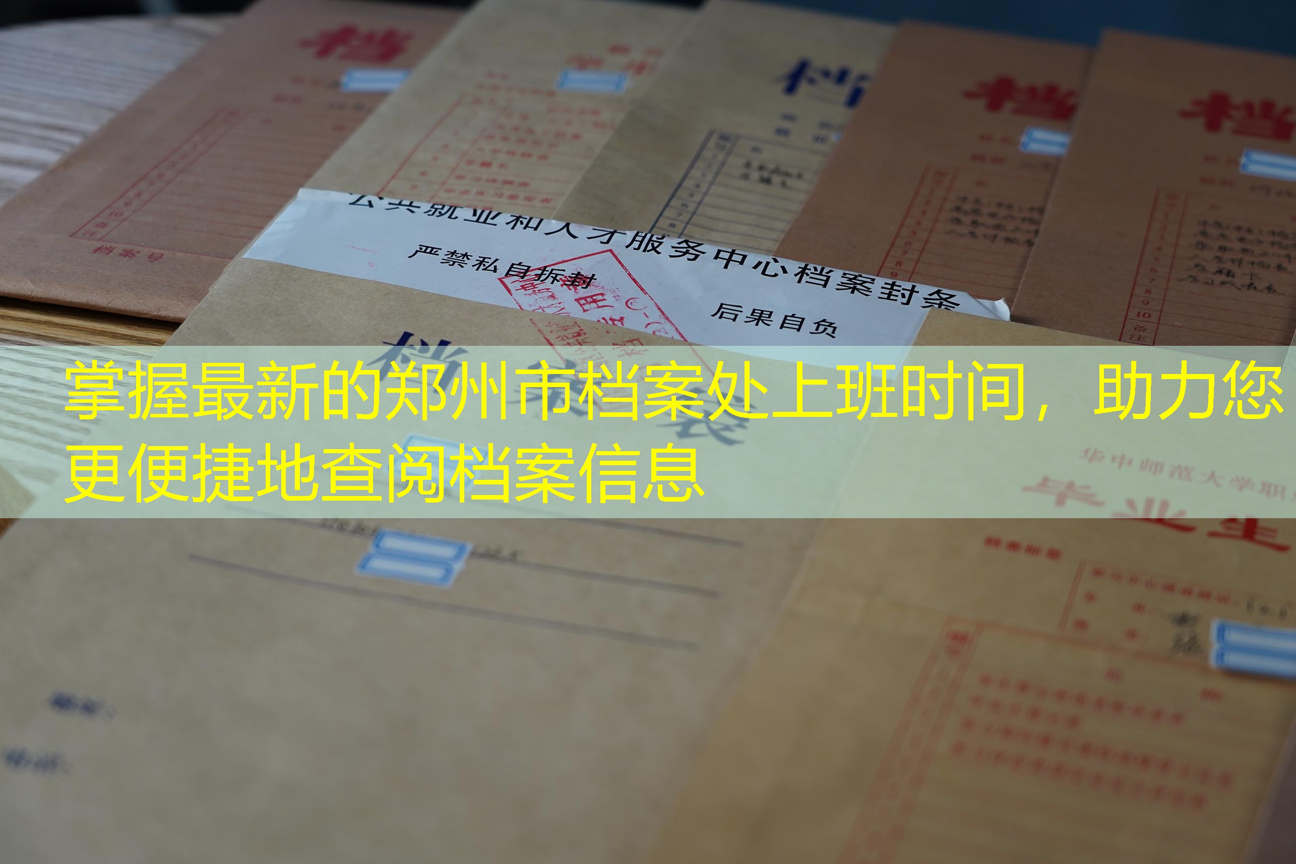 档案查询