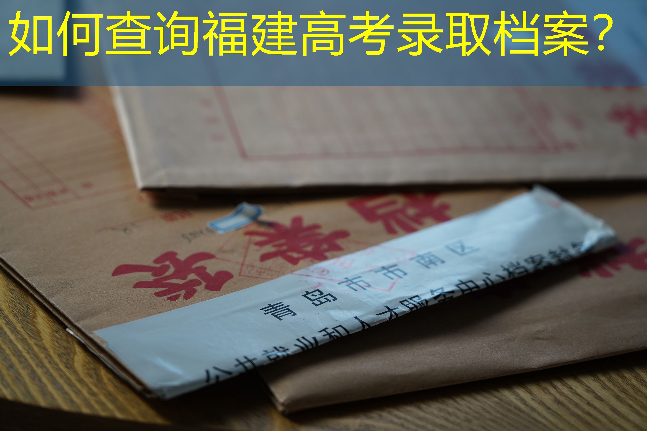 档案查询