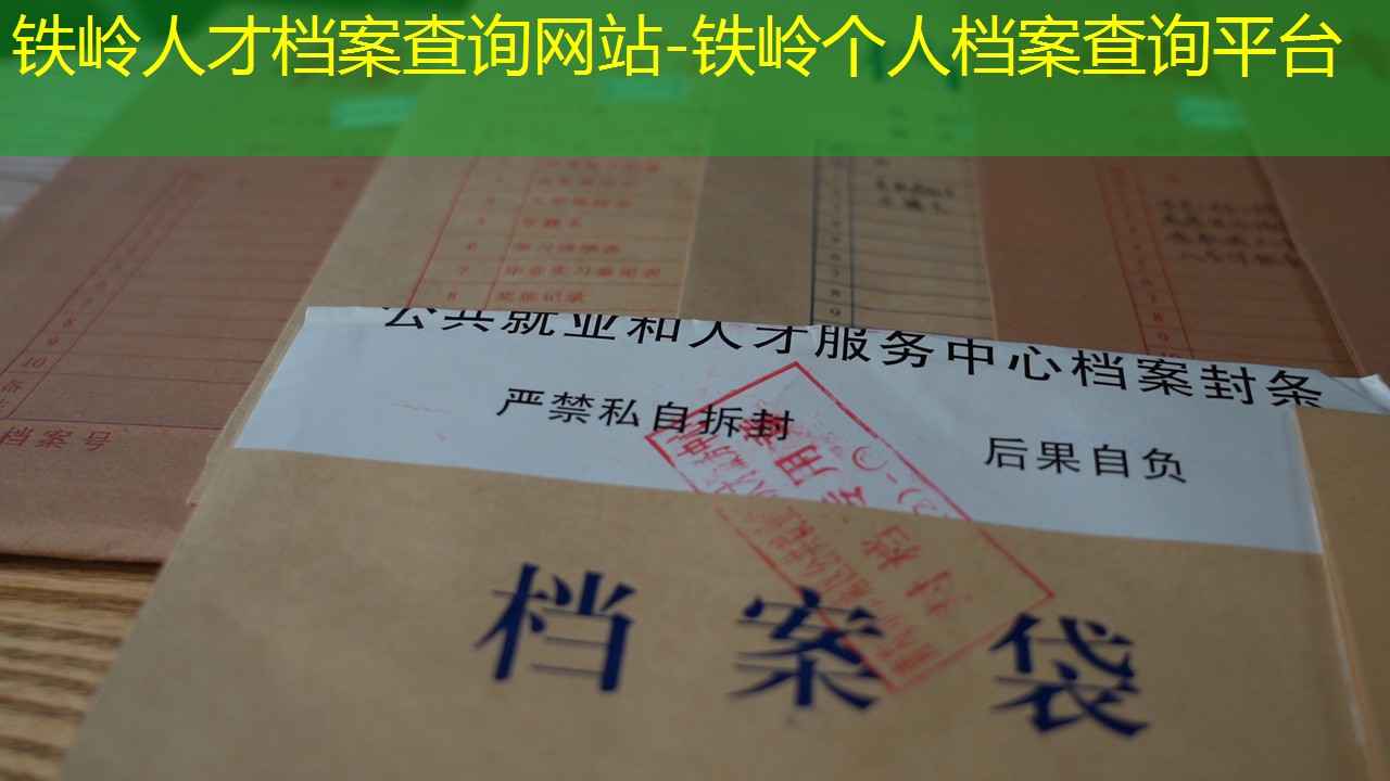 档案查询