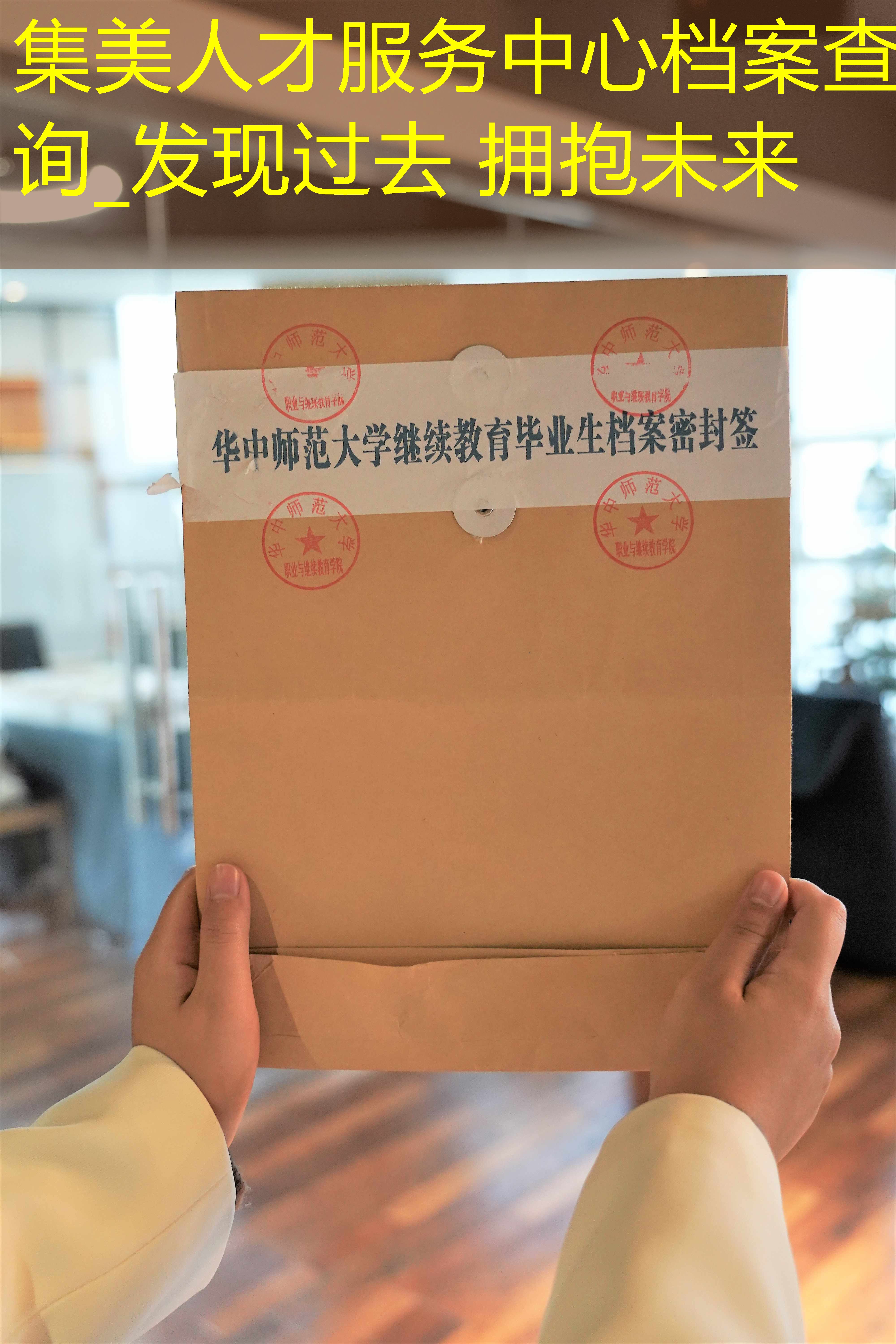 档案查询