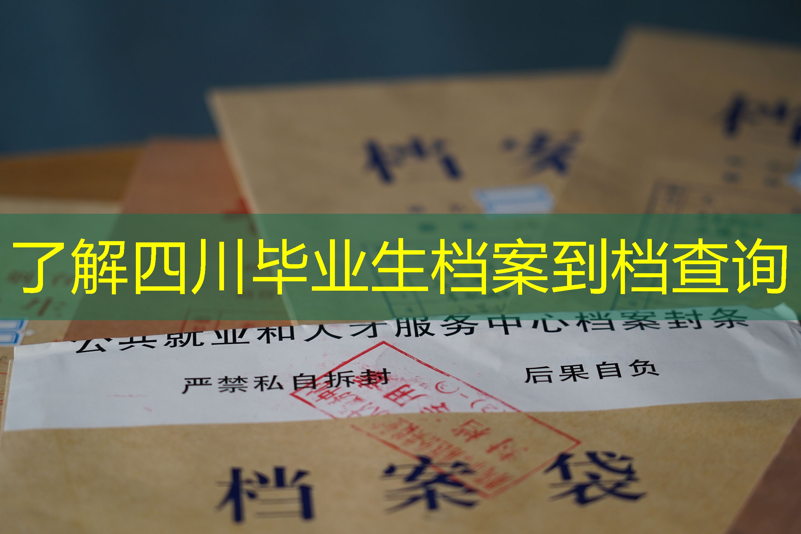 档案查询