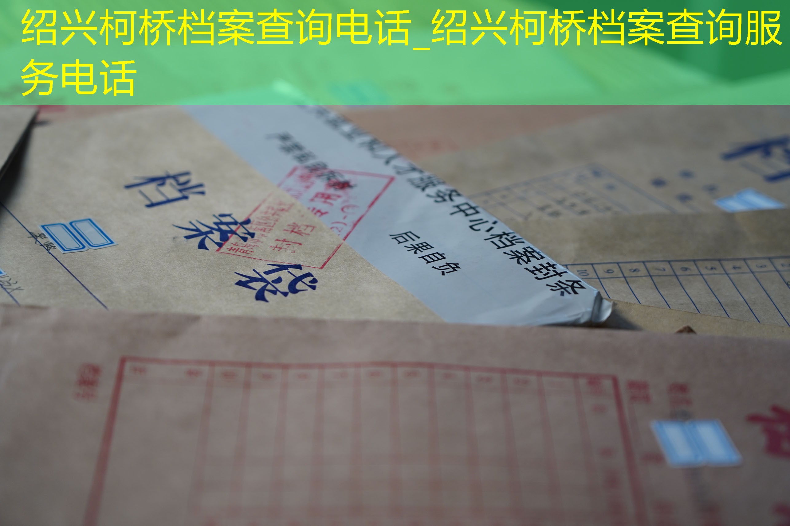 档案查询