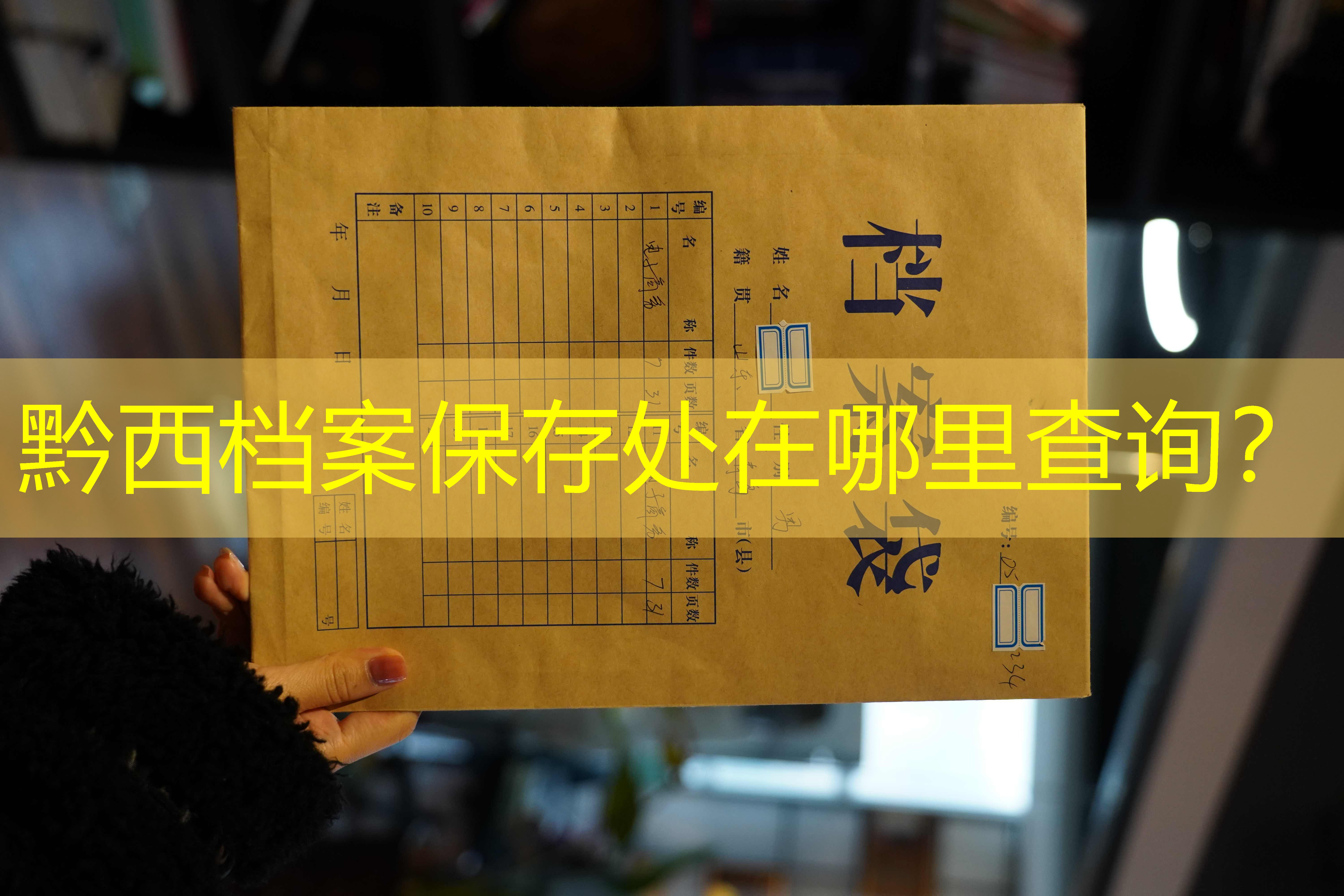 档案查询