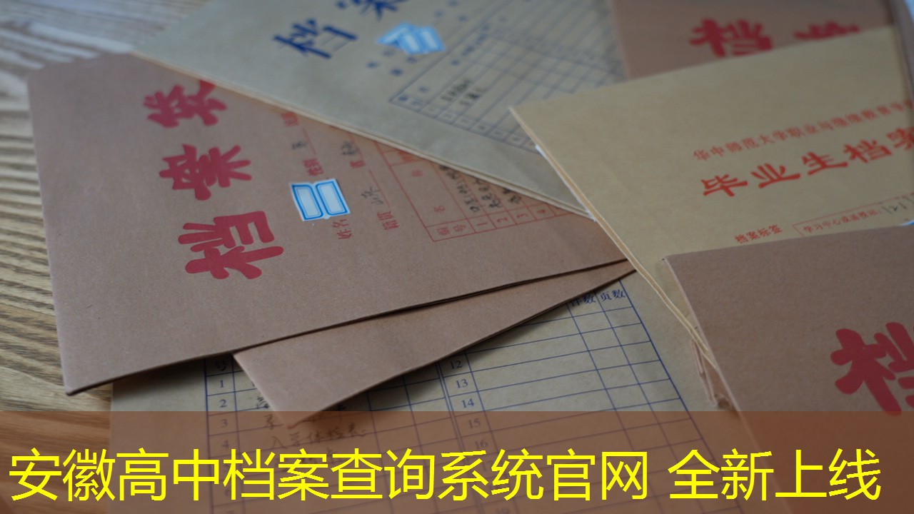 档案查询