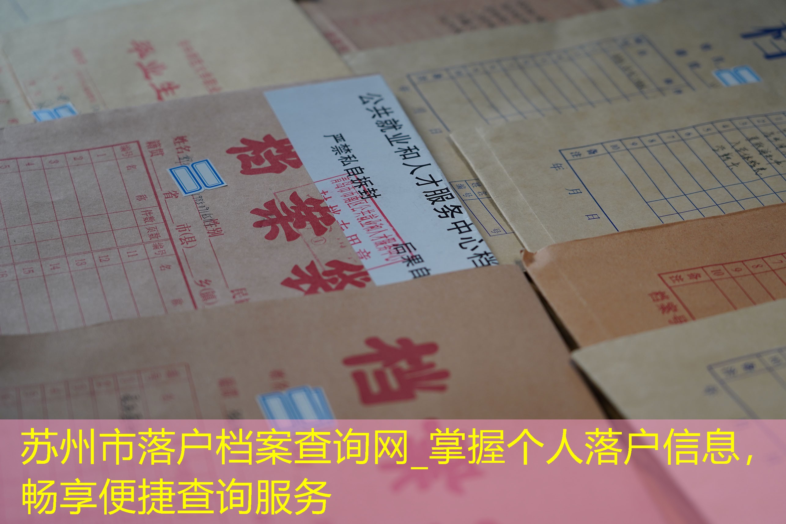 档案查询