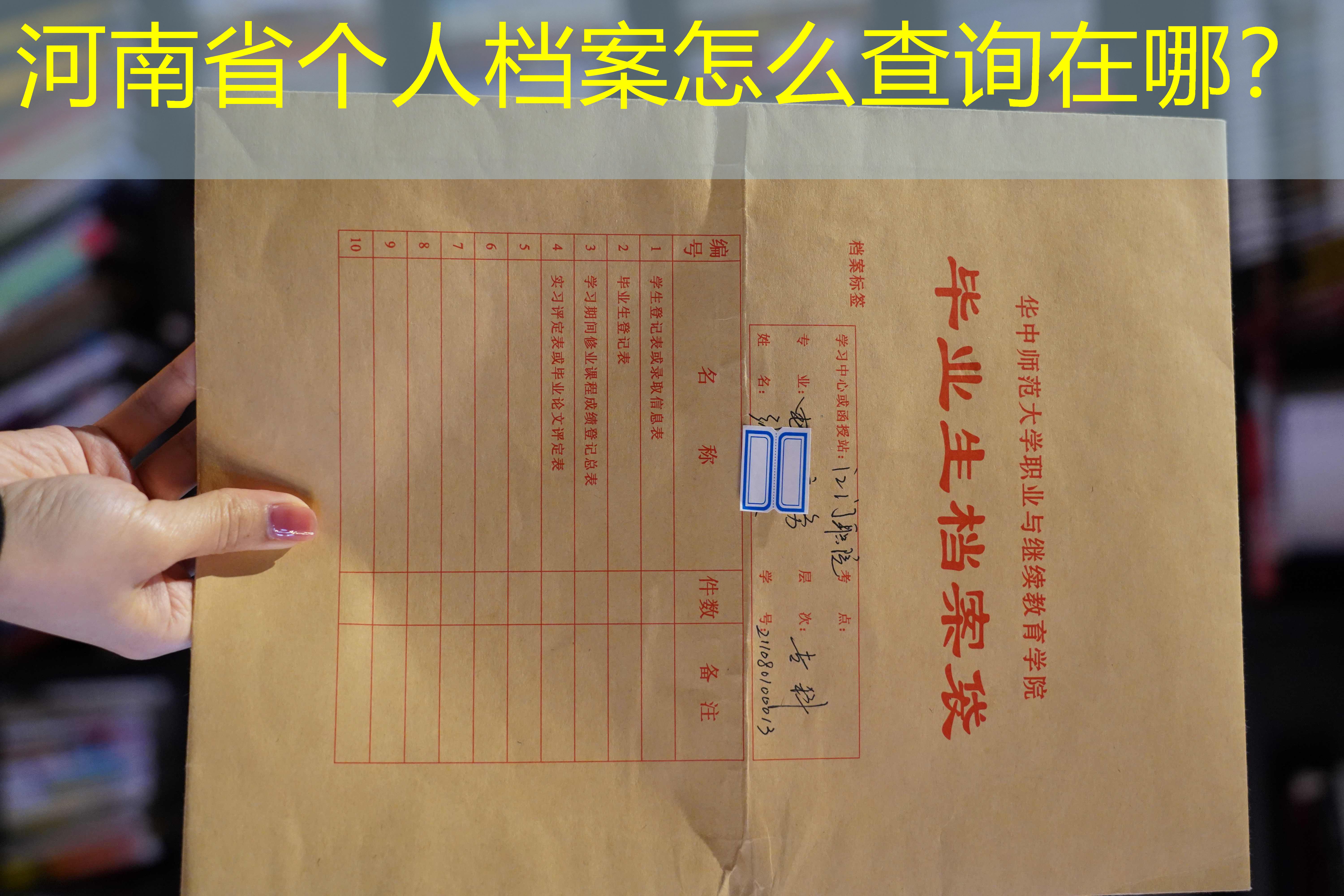 档案查询