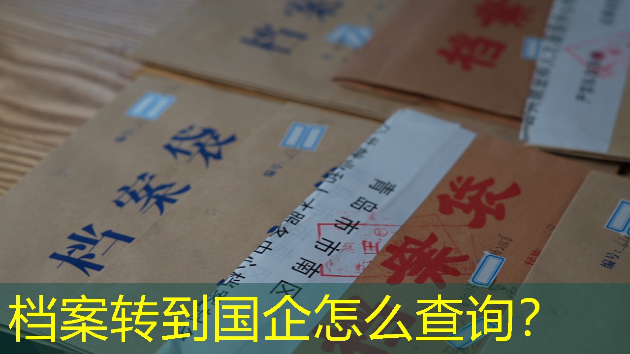 档案查询