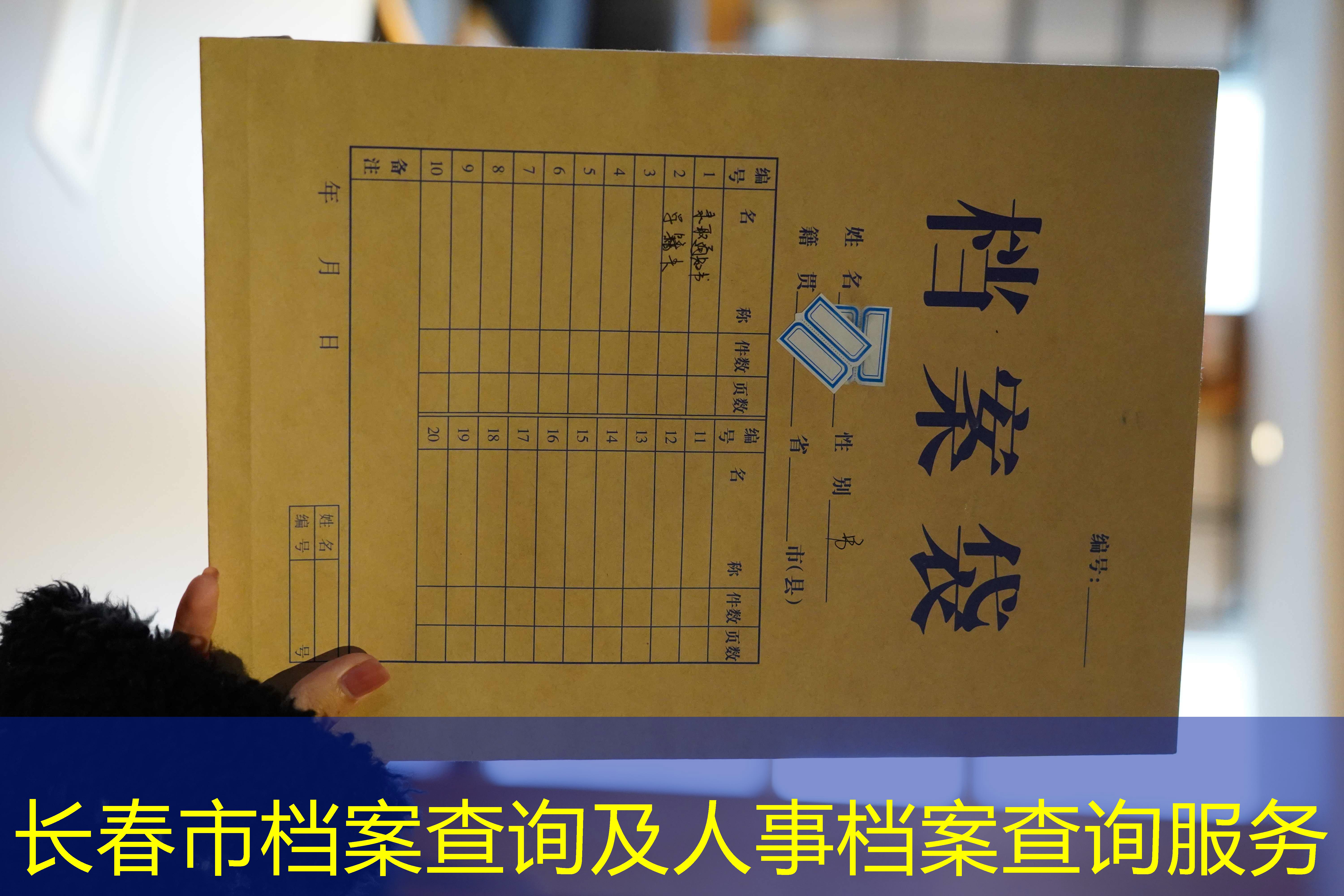 档案查询